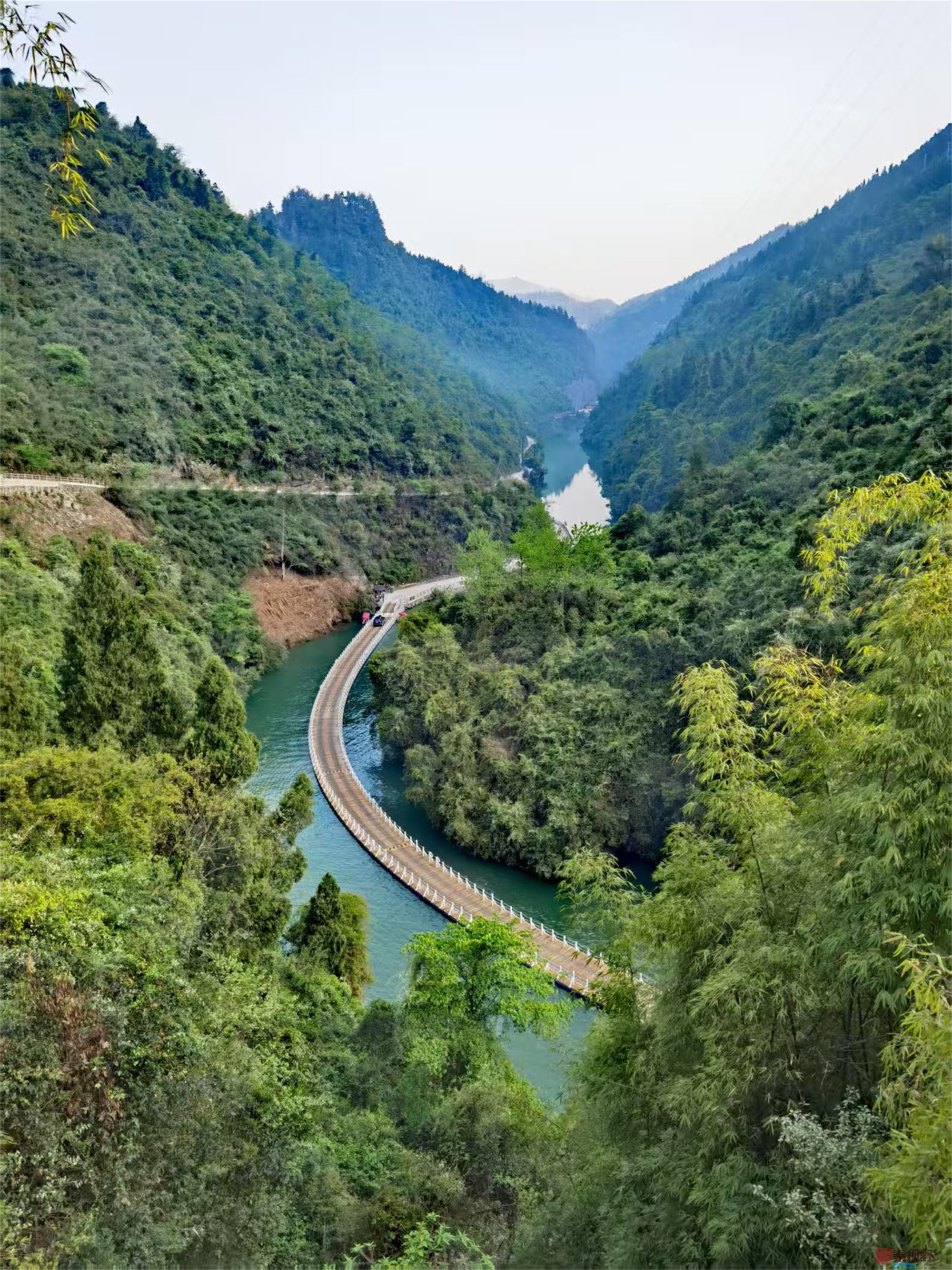 王耀林_20250501203125 (1).jpg