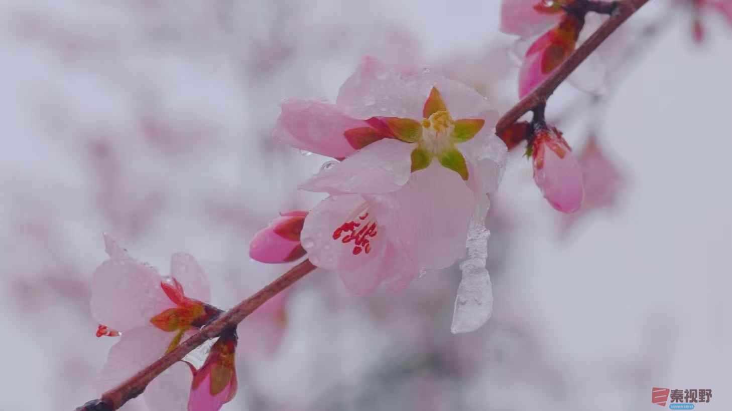 微信图片_20250502154116.jpg