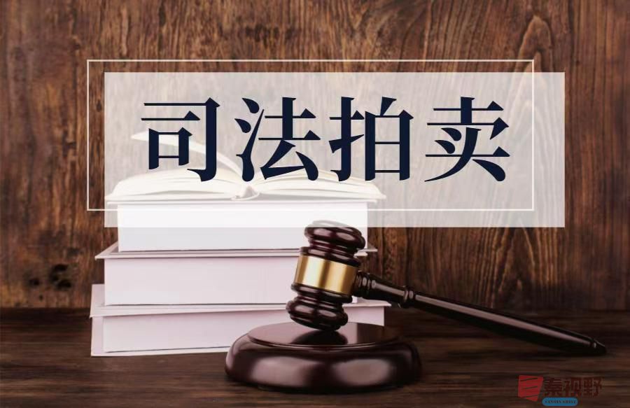 司法拍卖公告简述