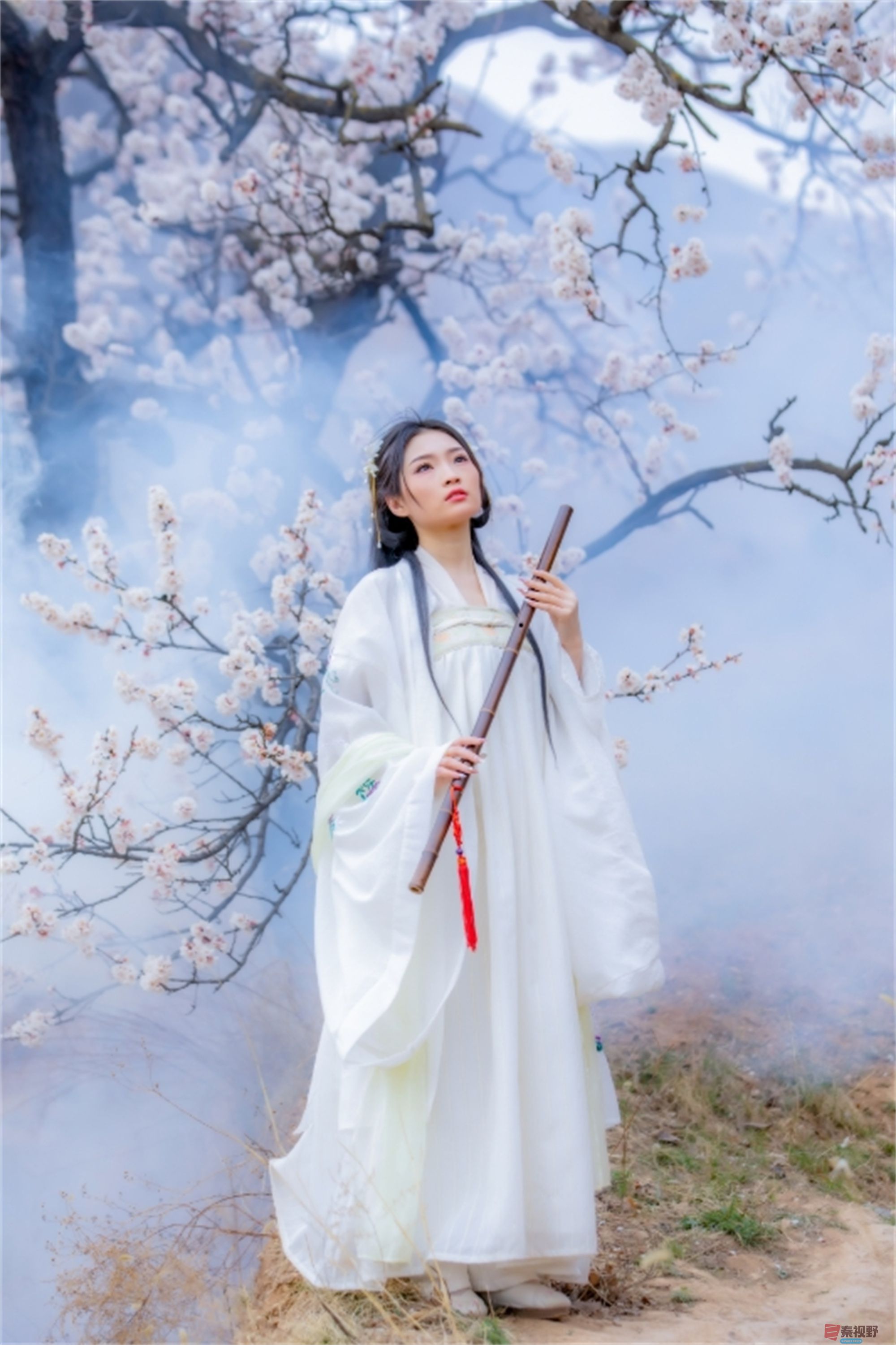 张宝光压缩20250505 (1).jpg