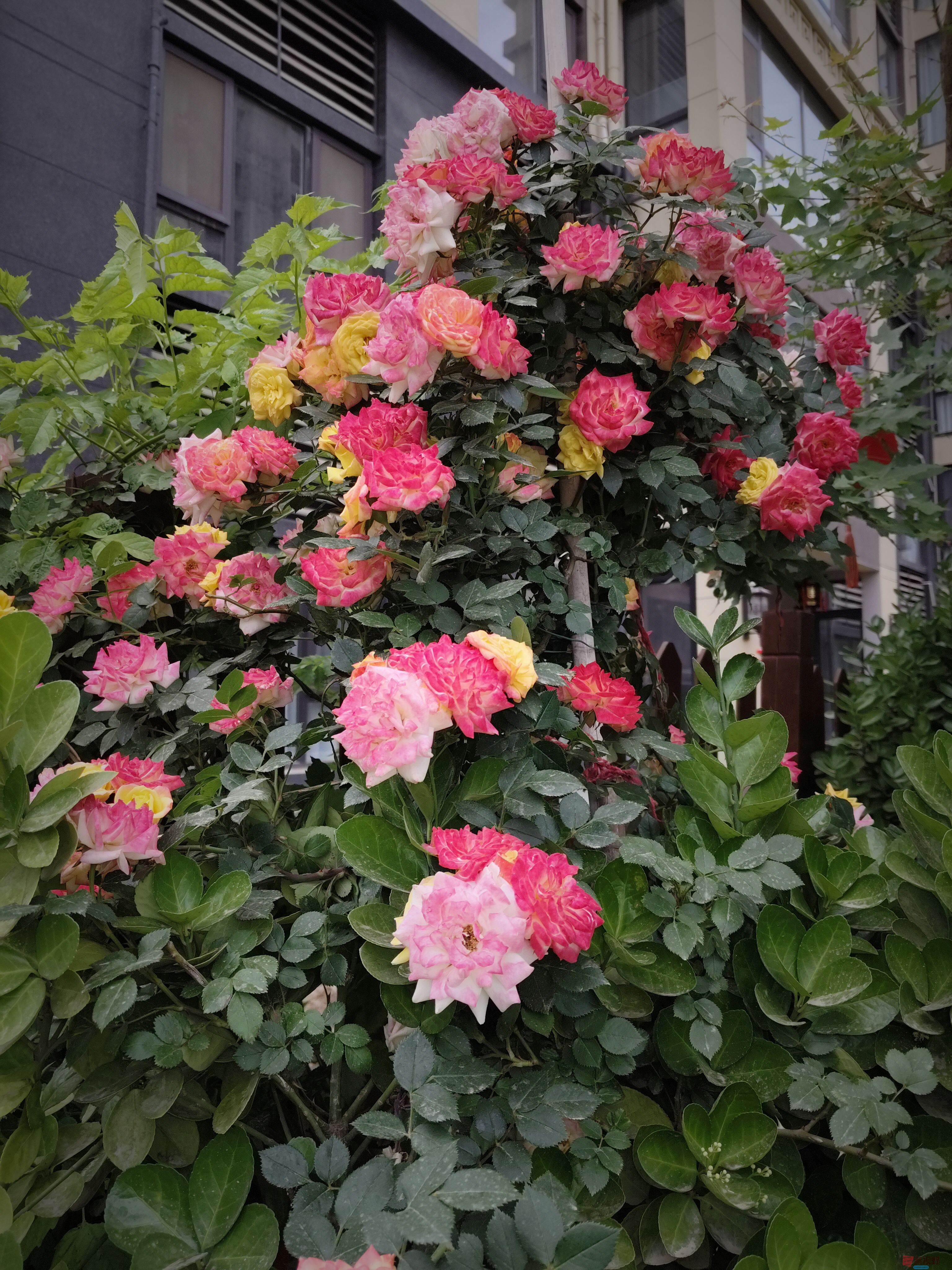 微信图片_20250507185727.jpg