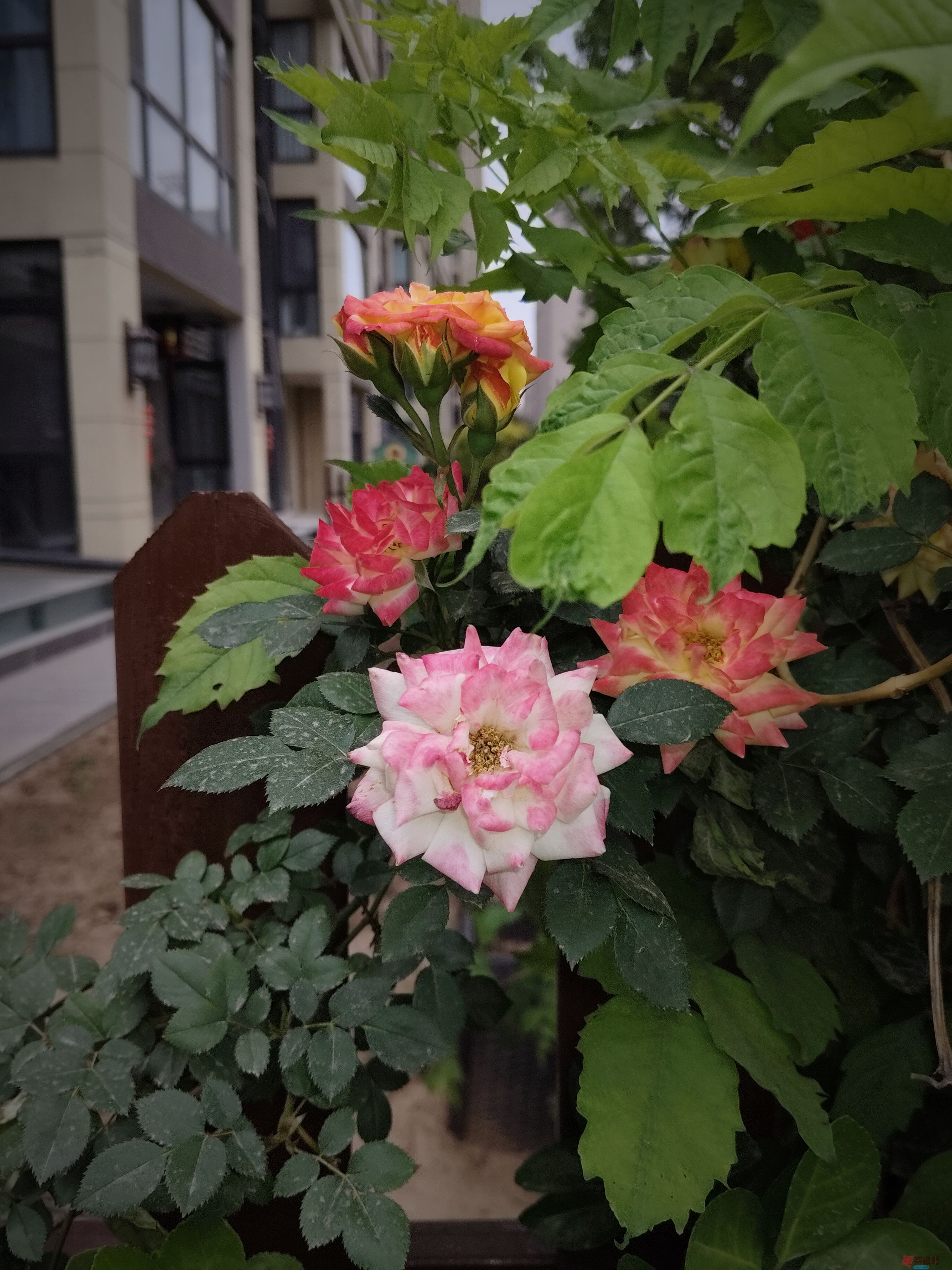 微信图片_20250507185755.jpg