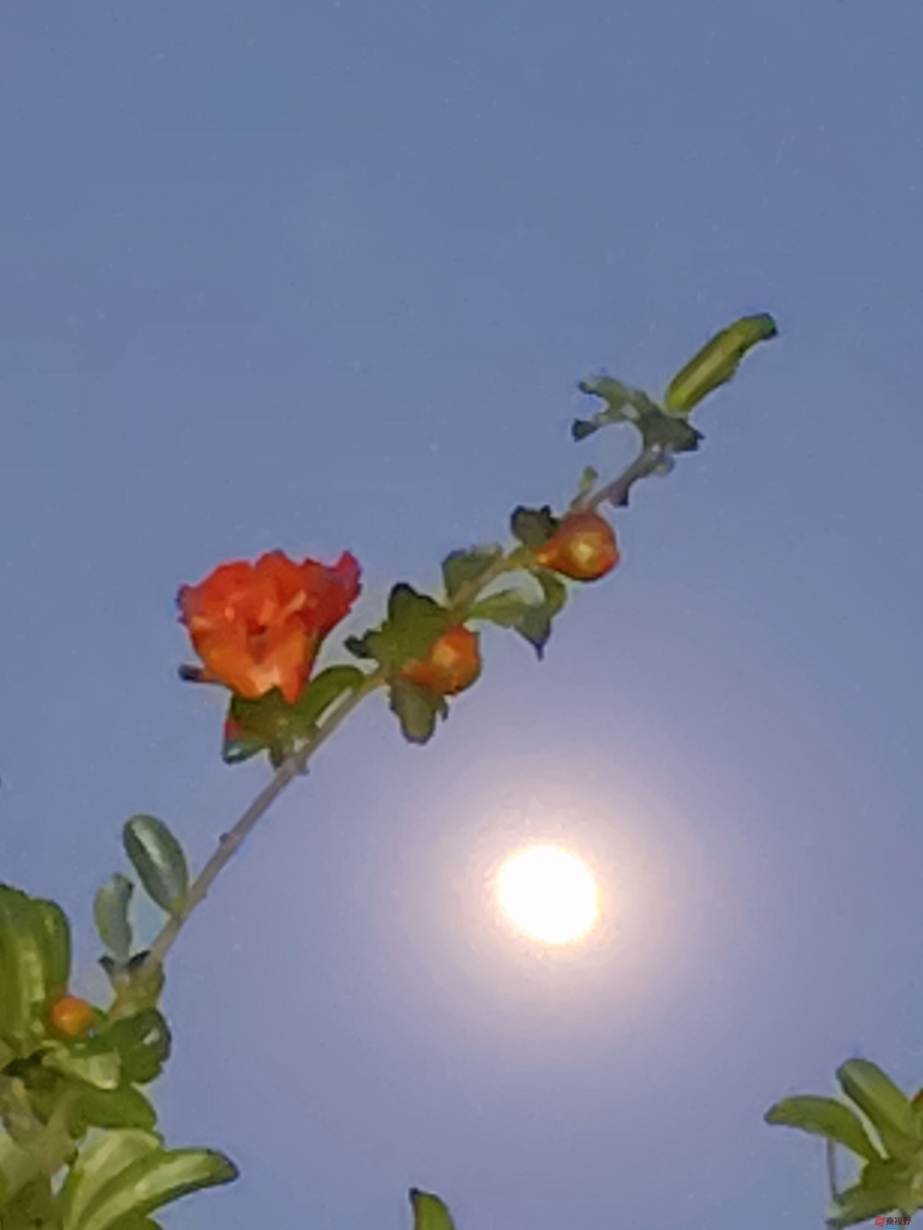 吕卫东_20250509212220 (2).jpg