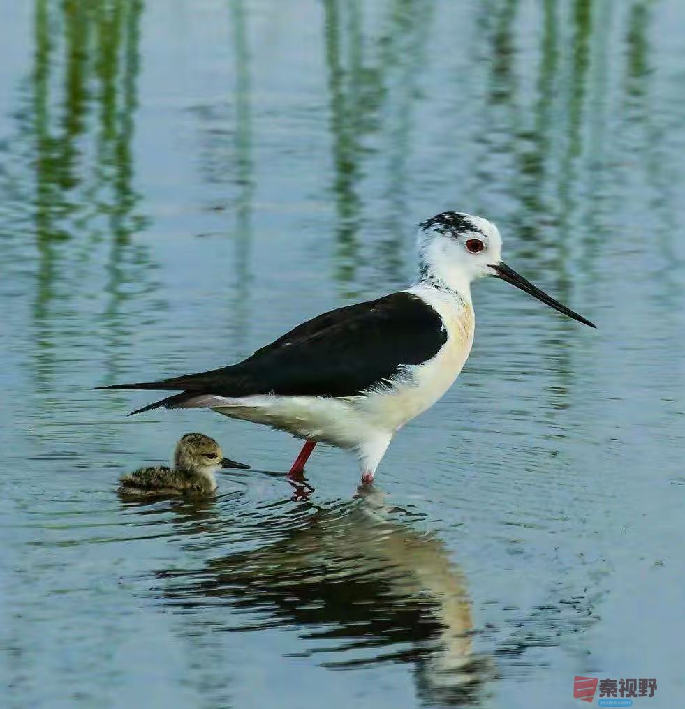 微信图片_20250511222148.jpg
