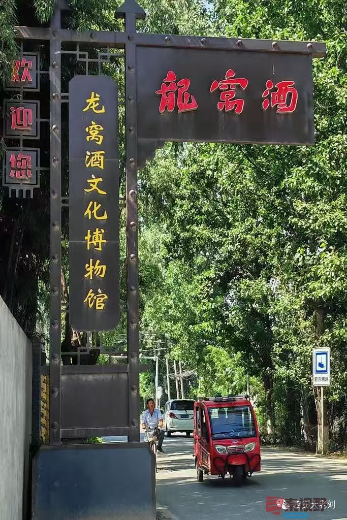 绿海雪塬_20250512152013 (2).jpg