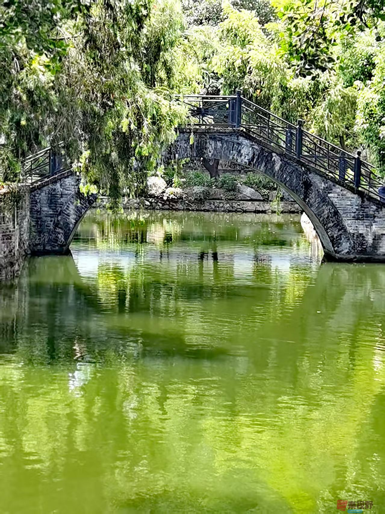 王耀林_20250512151741 (1).jpg