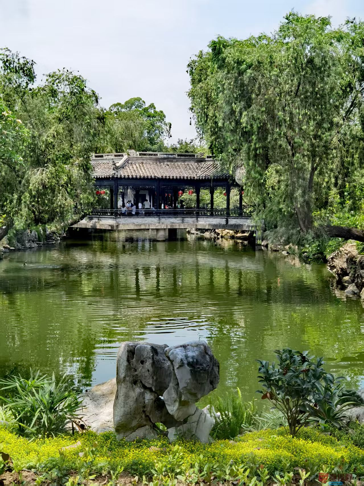 王耀林_20250512151741 (3).jpg