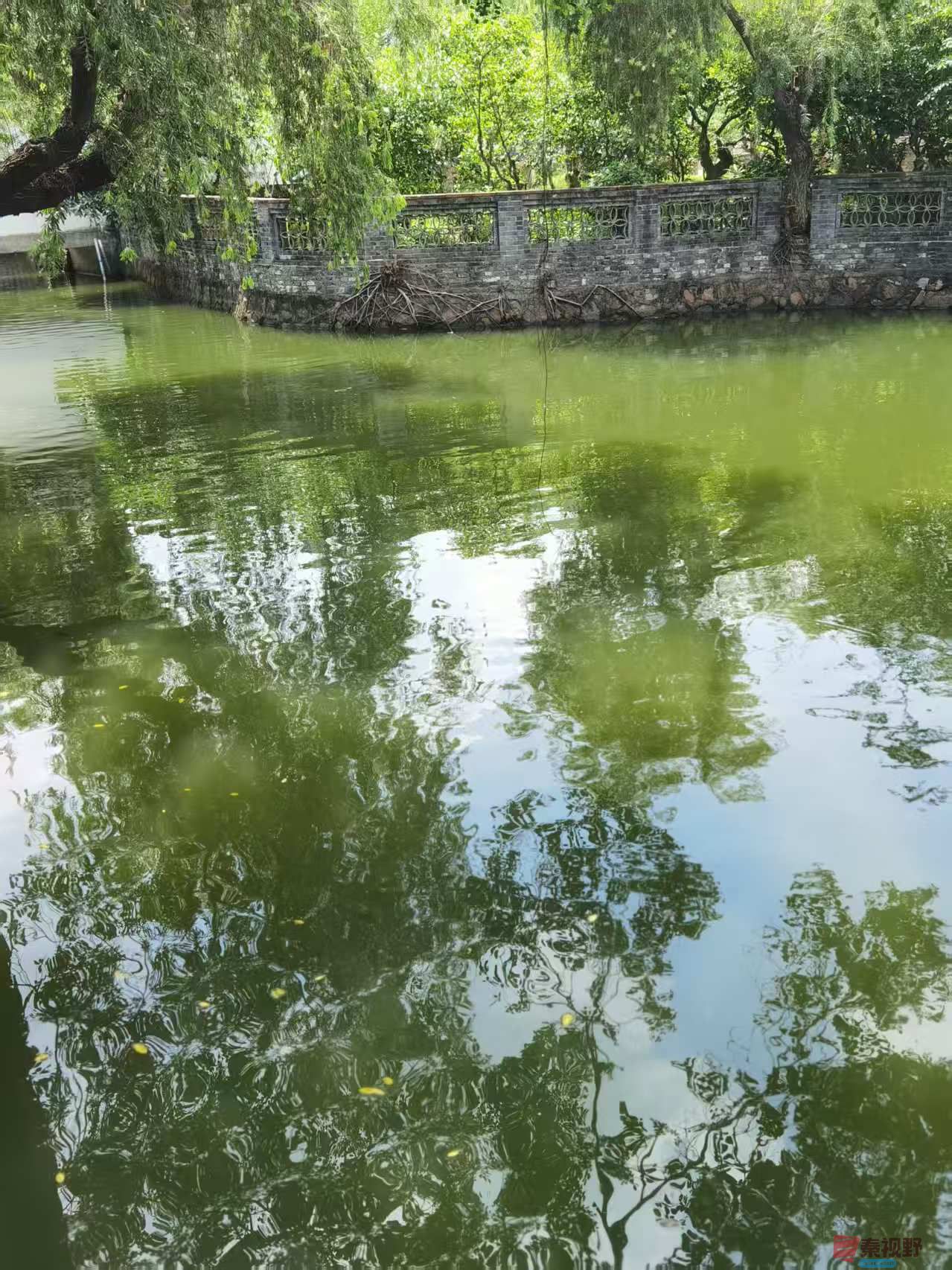 初夏的感觉【摄影王耀林】