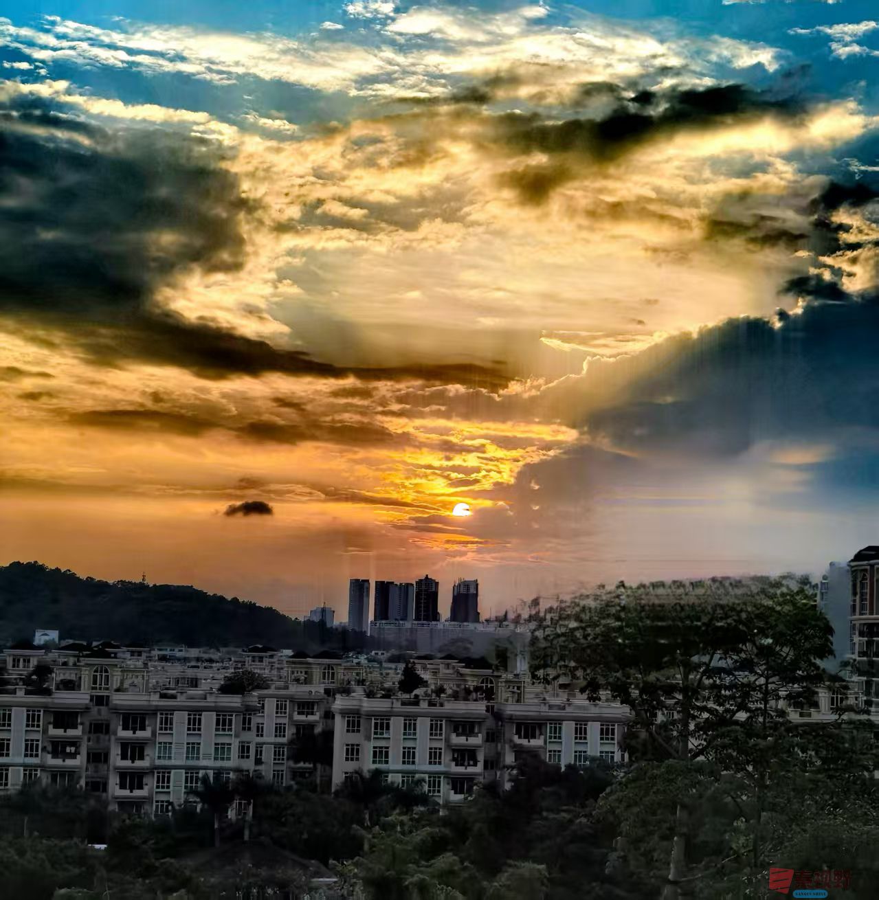 王耀林_20250512151741 (7).jpg