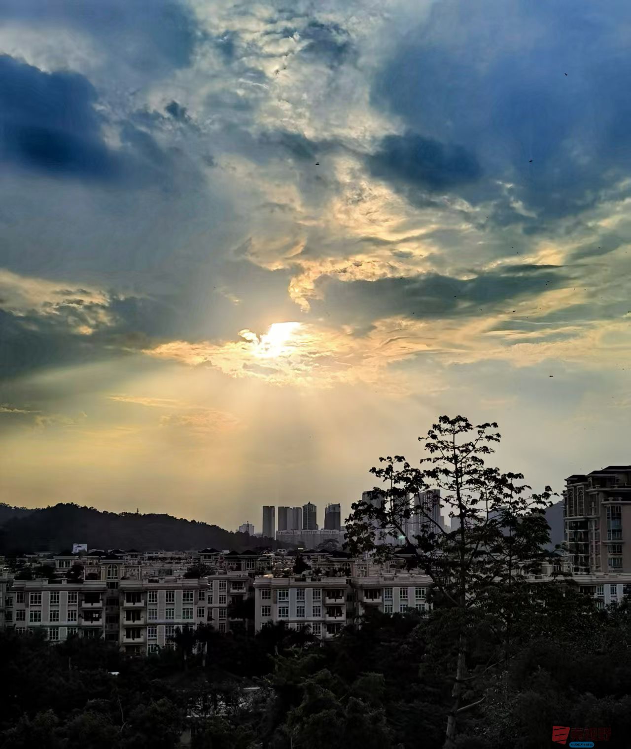 王耀林_20250512151741 (9).jpg