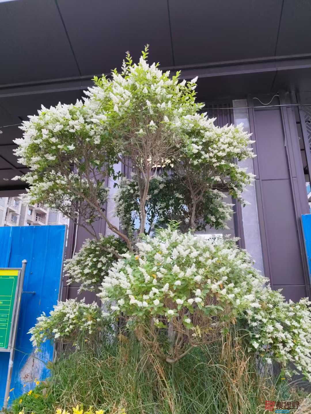 吕卫东_20250514091816 (5).jpg