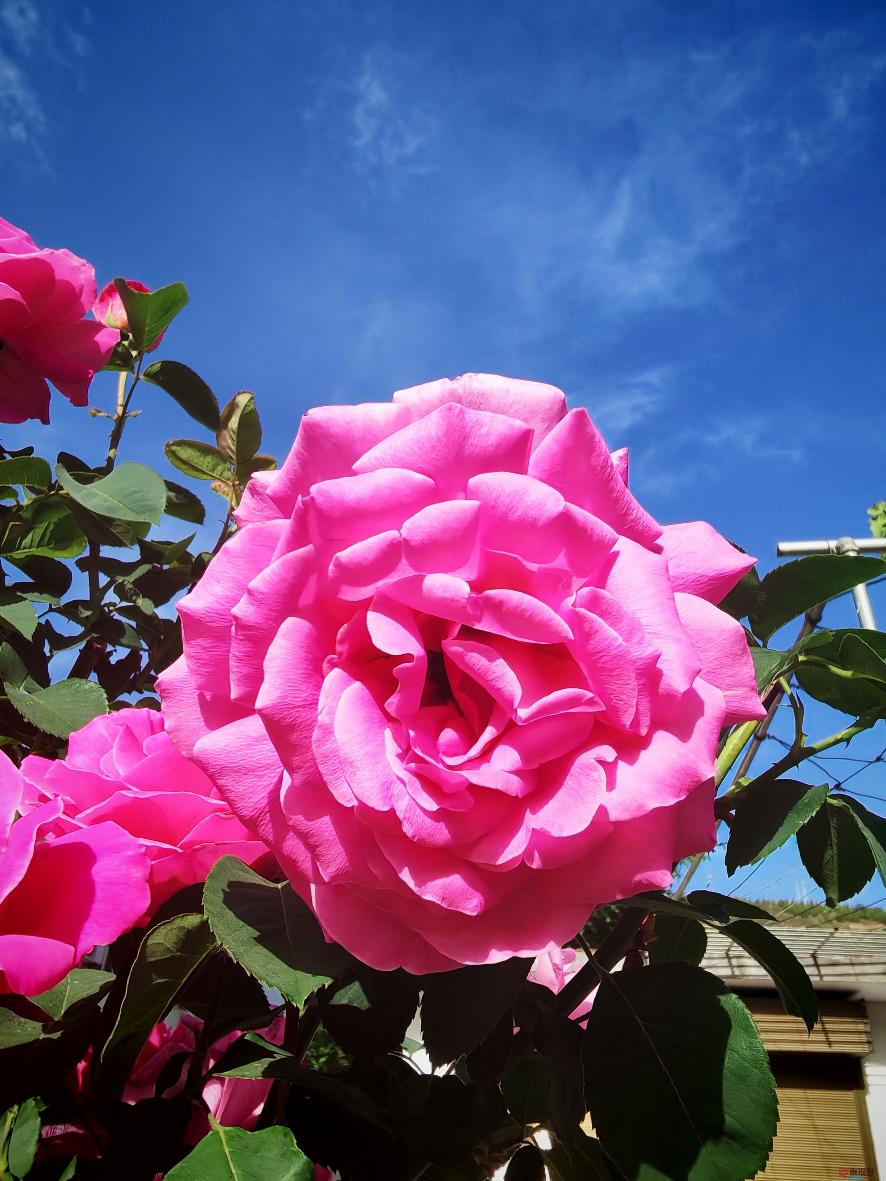 IMG_20250515_081604.jpg