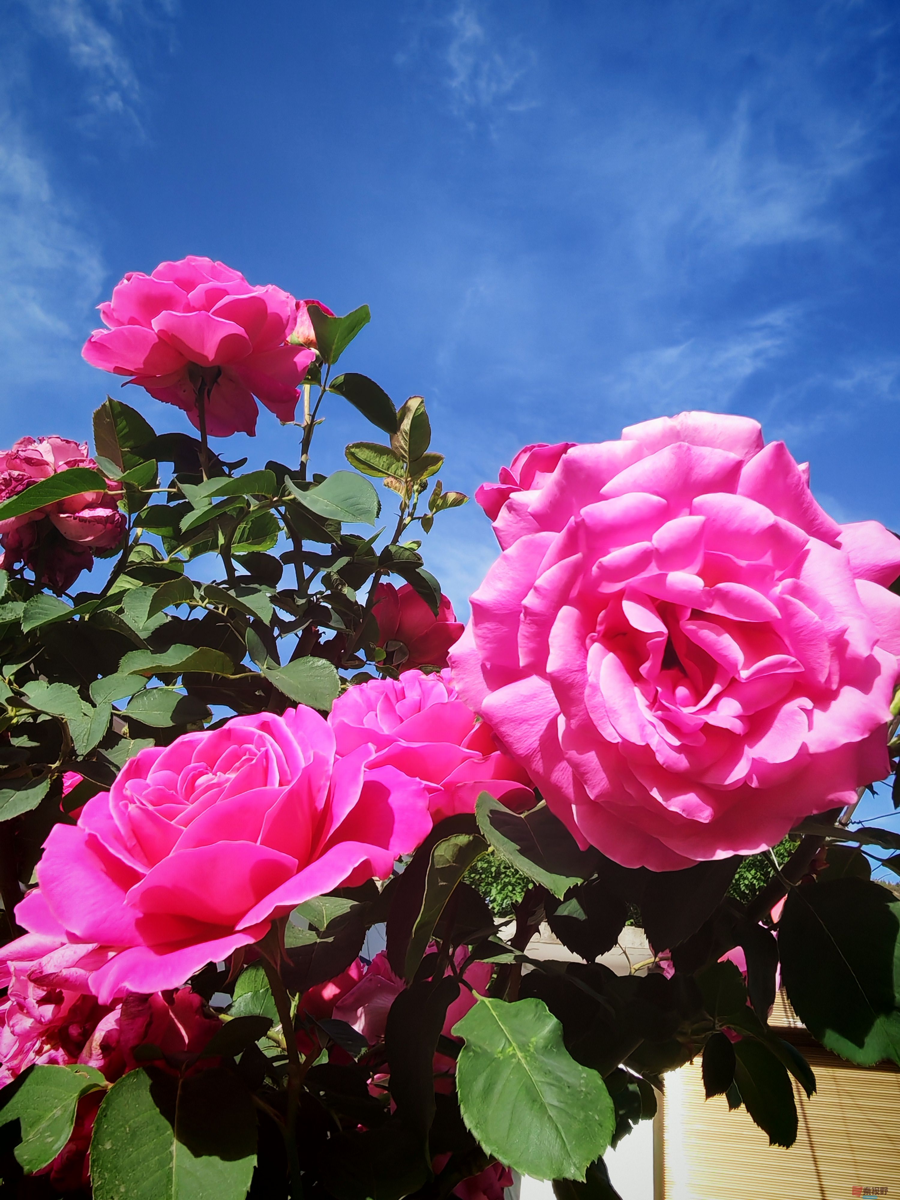 IMG_20250515_081611.jpg