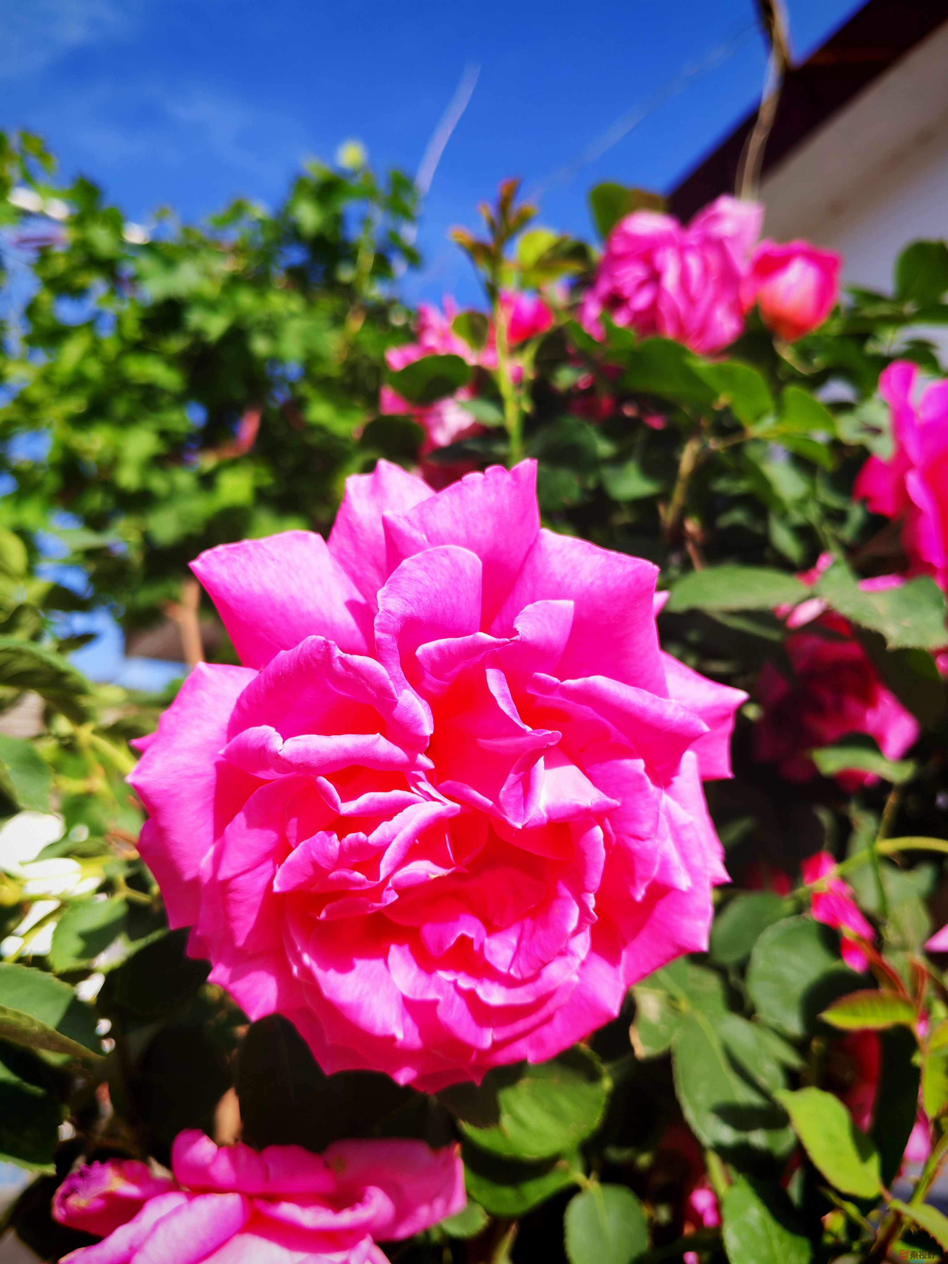 IMG_20250515_081618.jpg