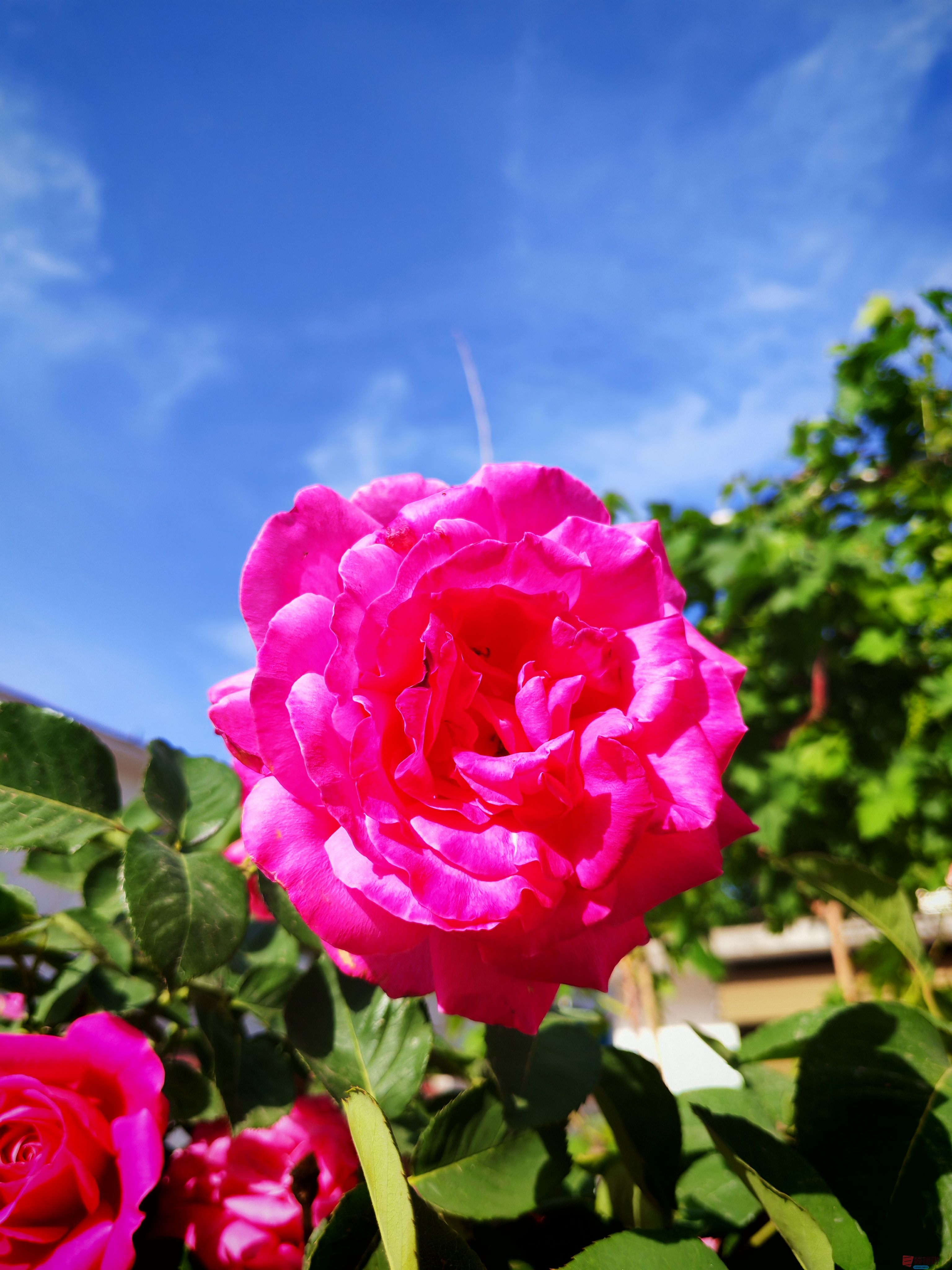 IMG_20250515_081702.jpg