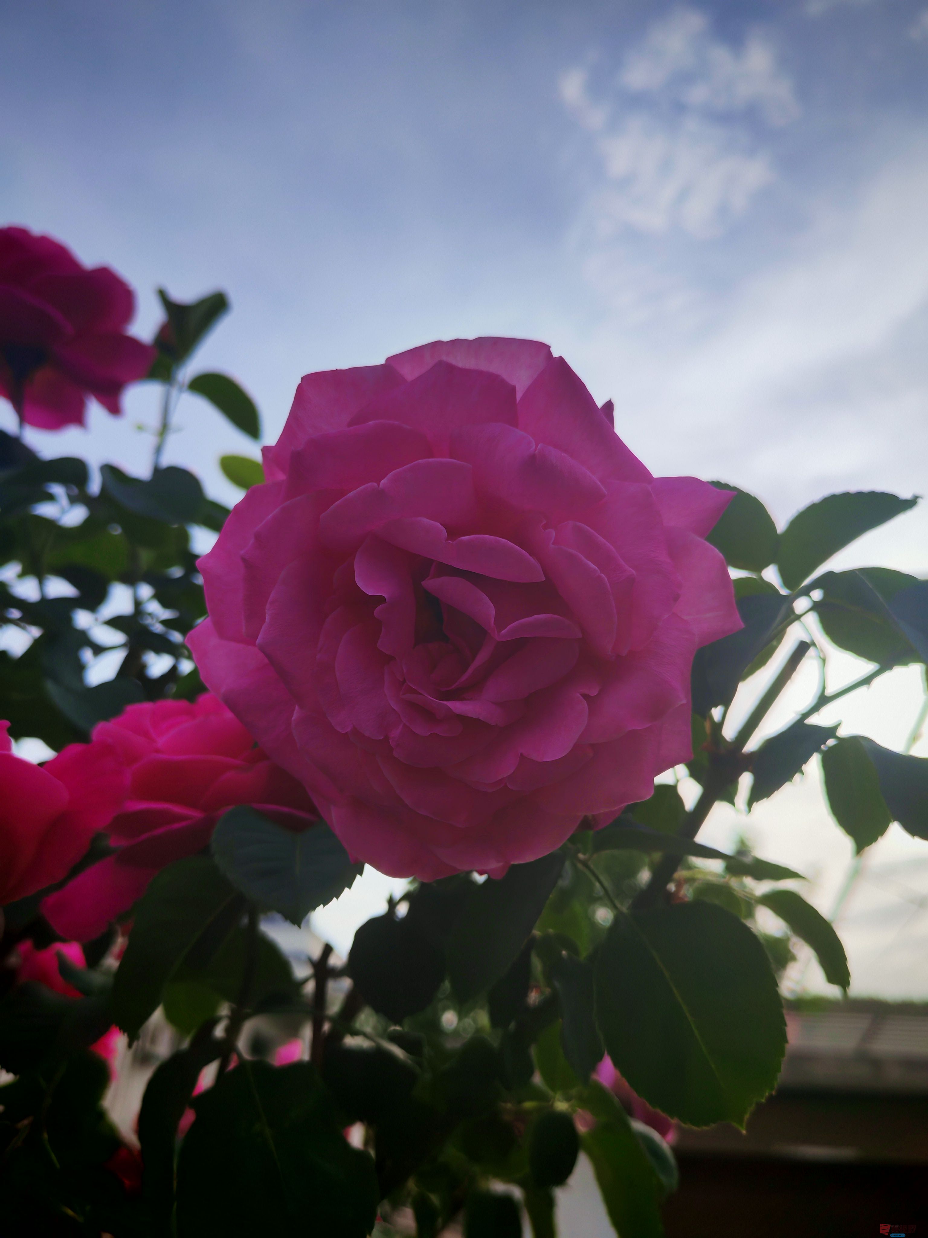 IMG_20250514_172859.jpg