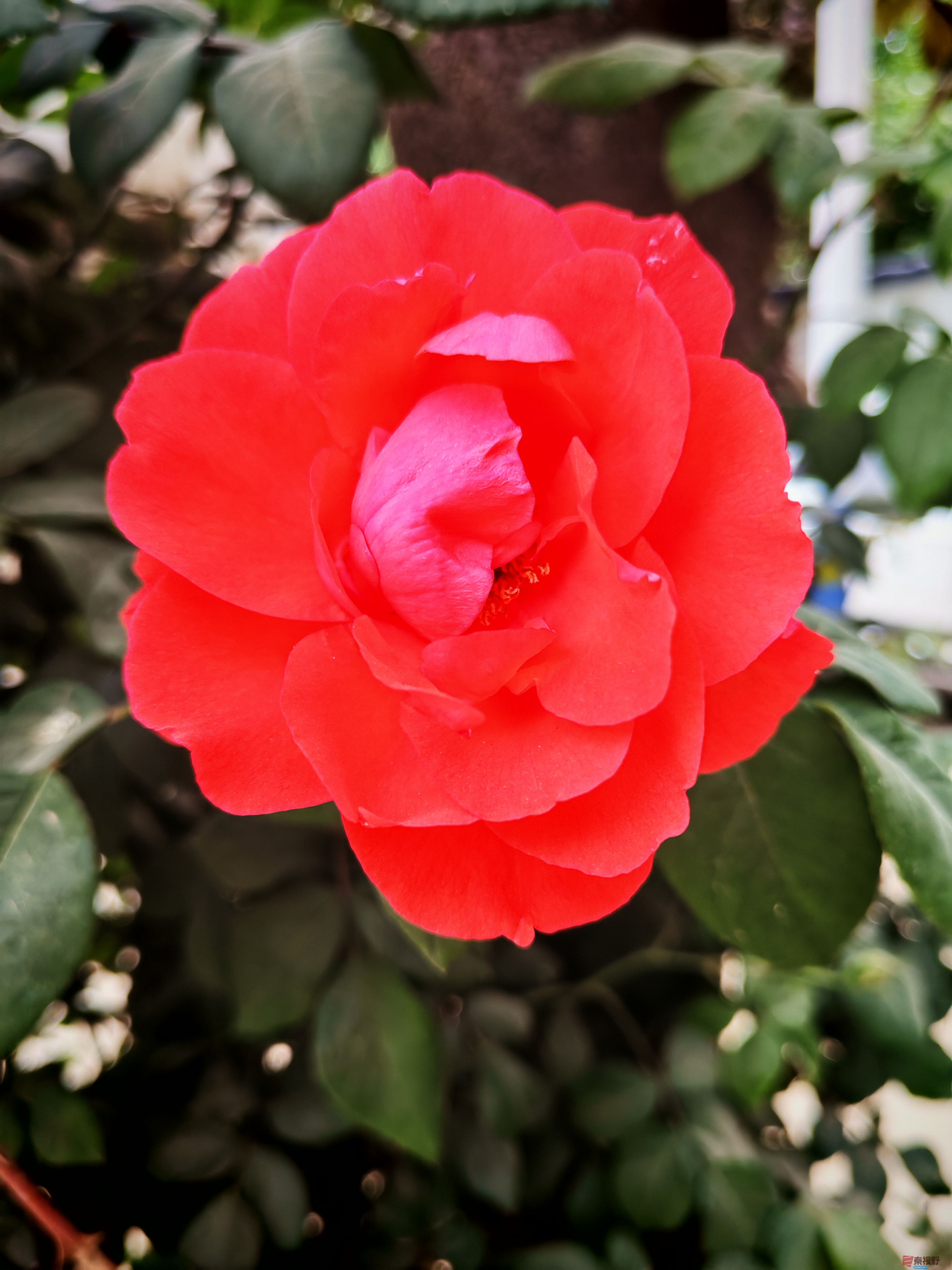 IMG_20250504_125430.jpg