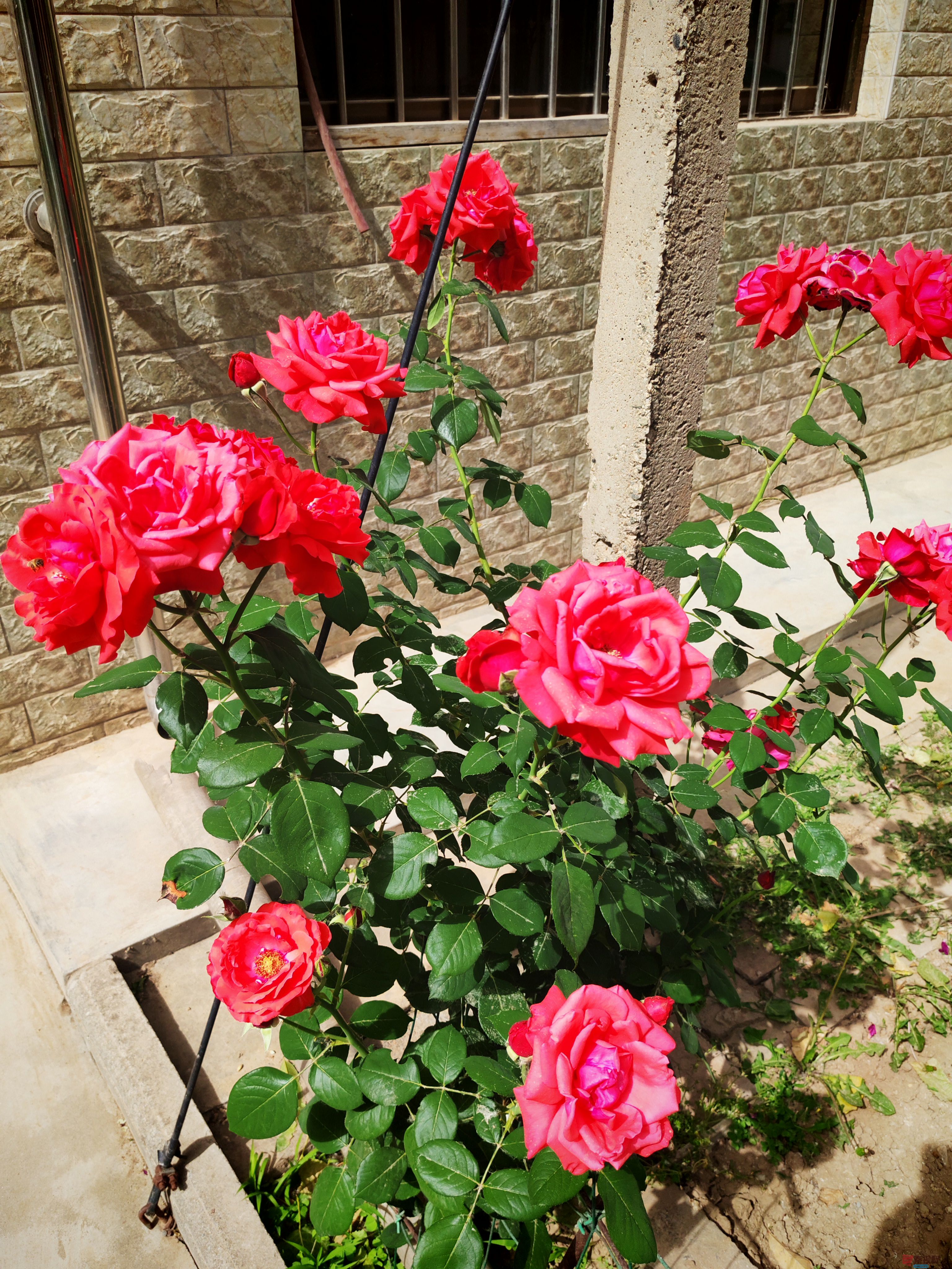 IMG_20250505_151836.jpg