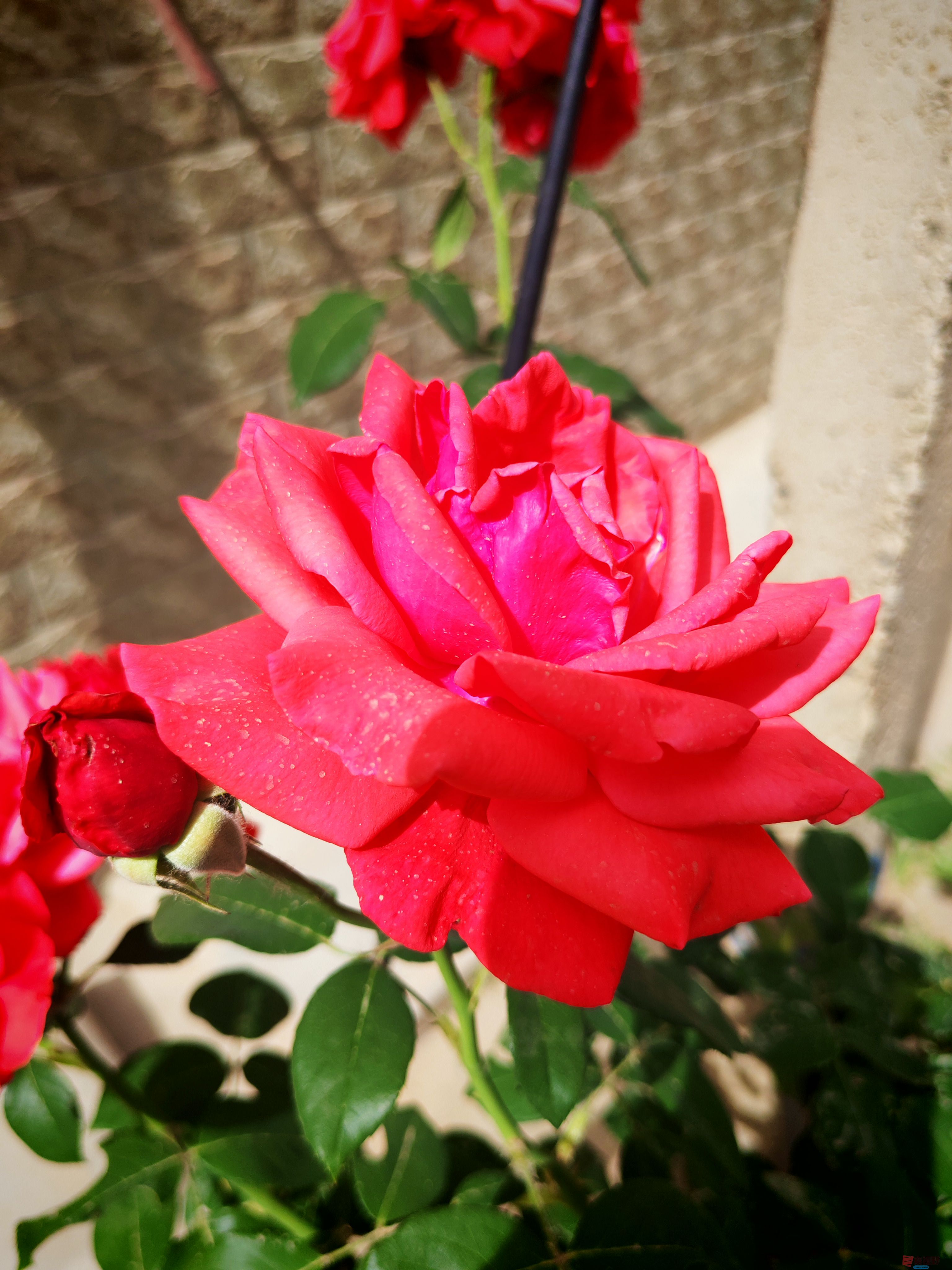 IMG_20250505_151848.jpg