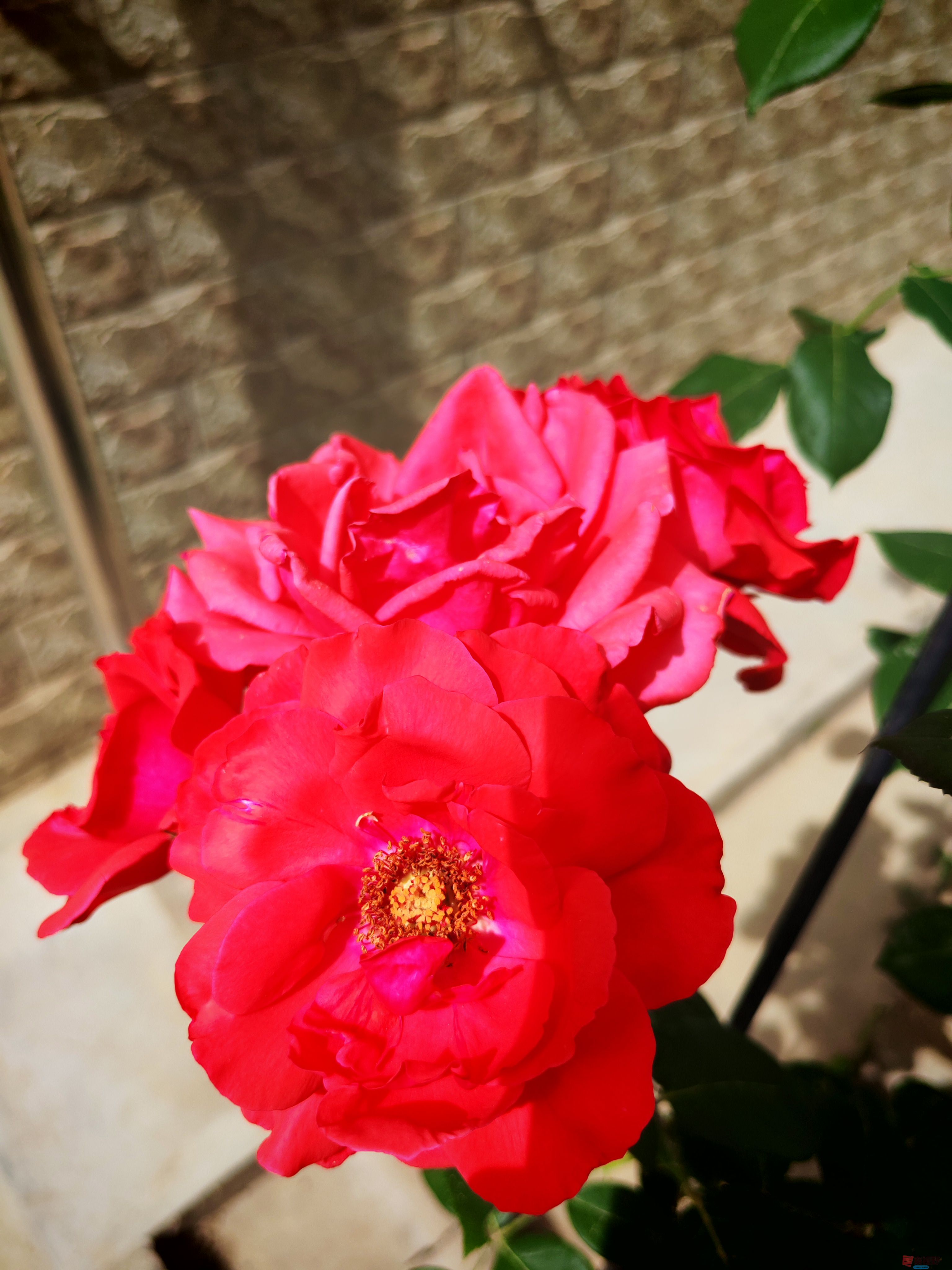 IMG_20250505_151851.jpg