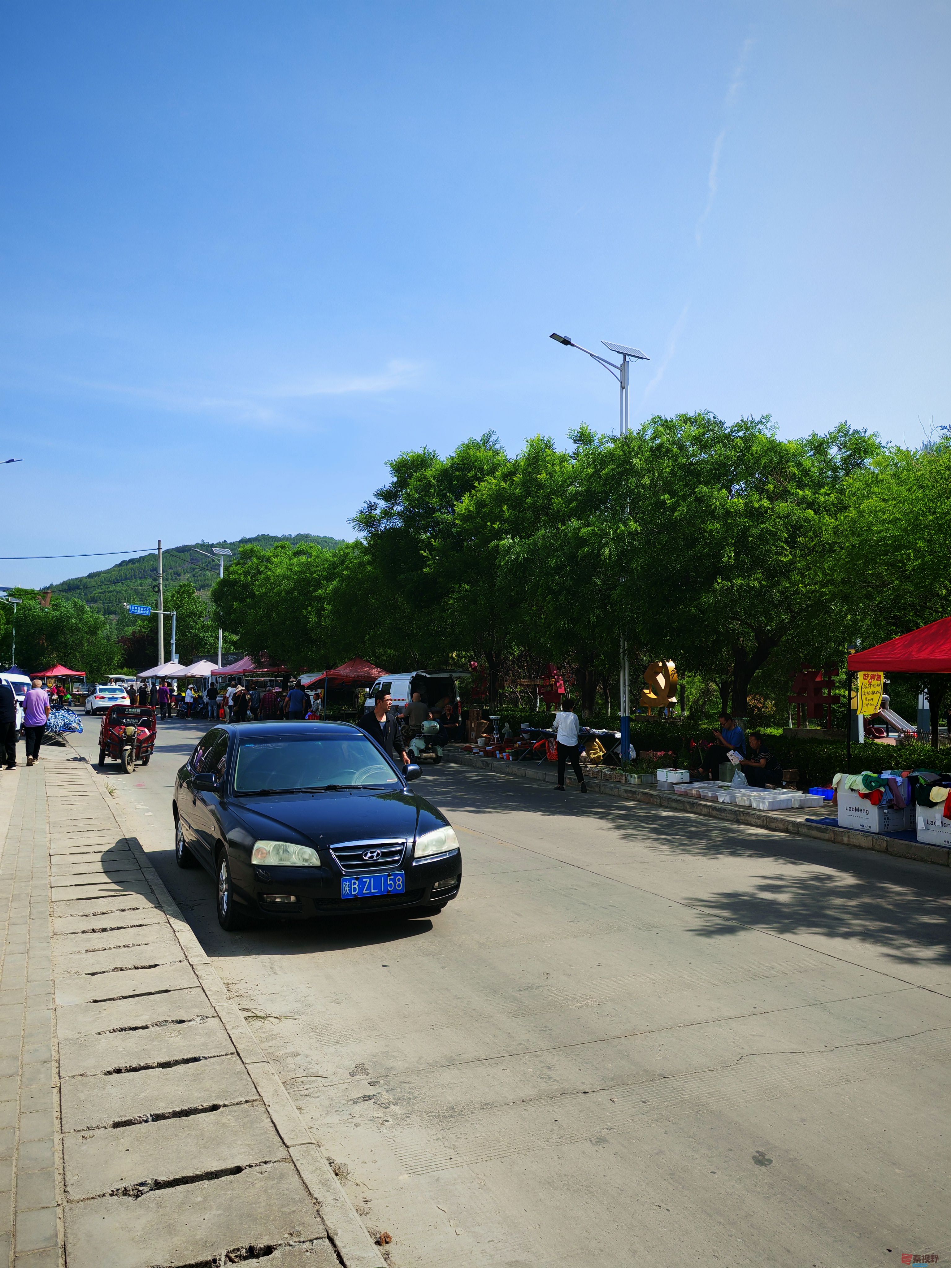 IMG_20250516_095906.jpg