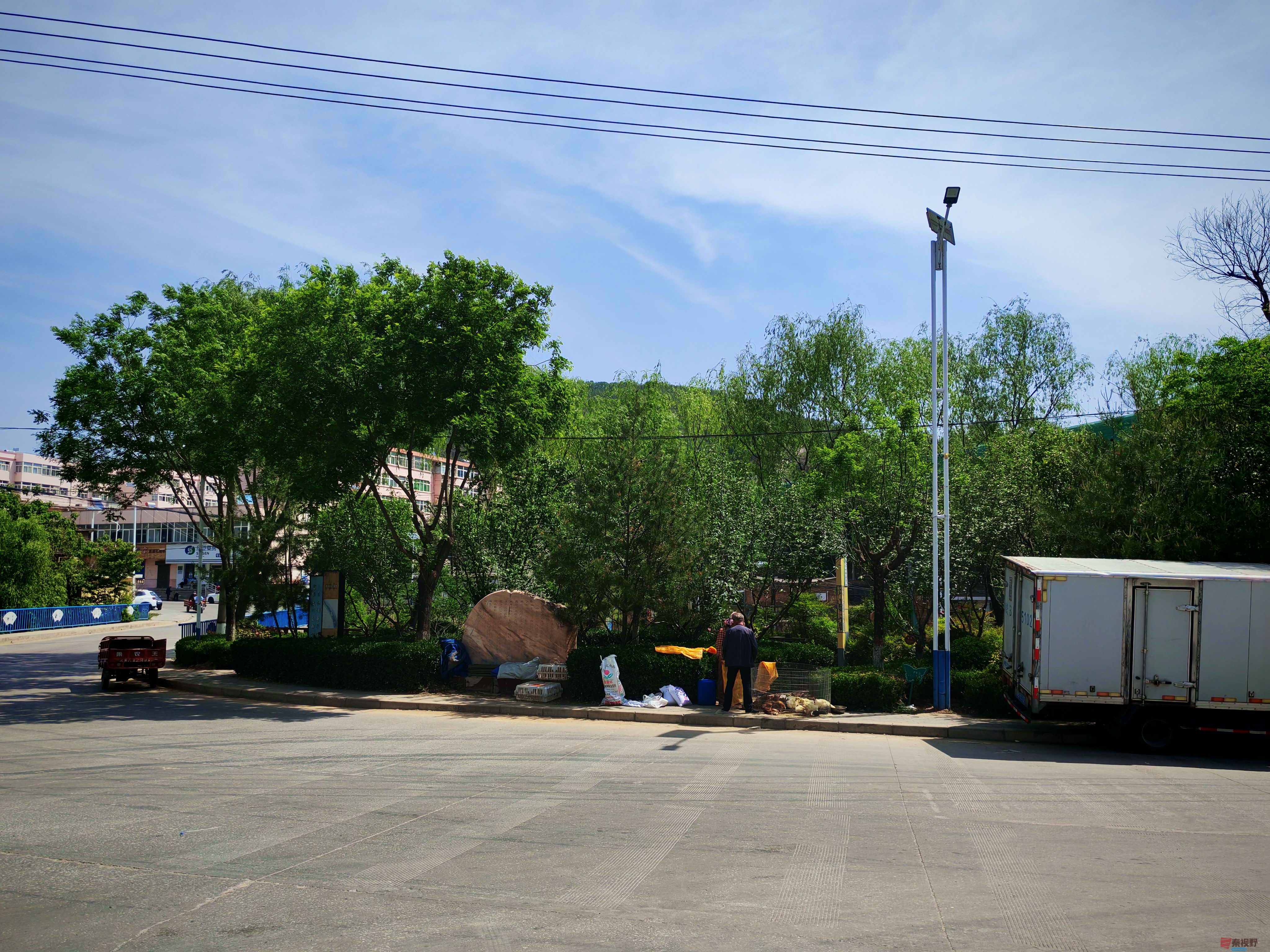 IMG_20250516_104355.jpg