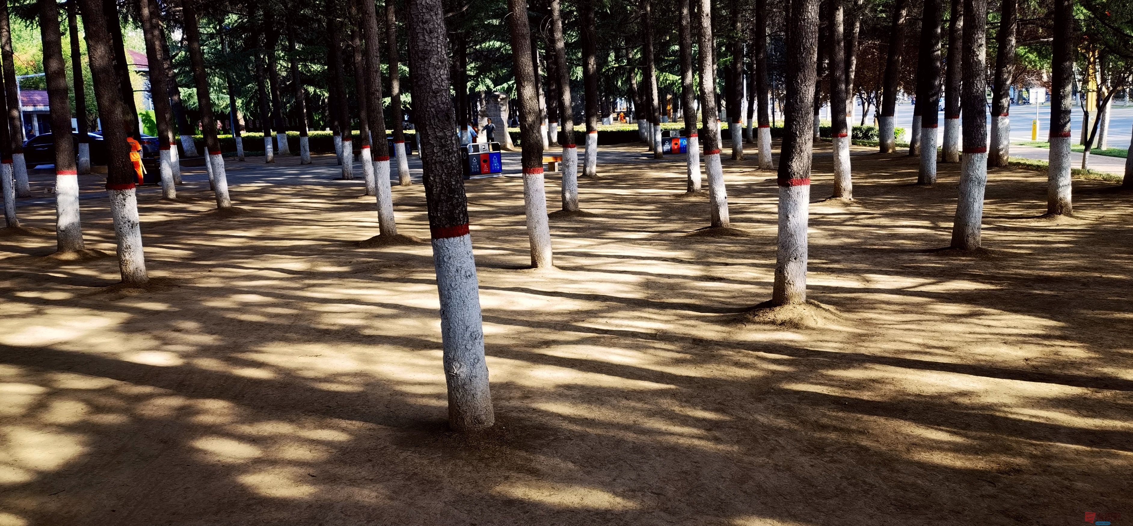 微信图片_20250516143854.jpg