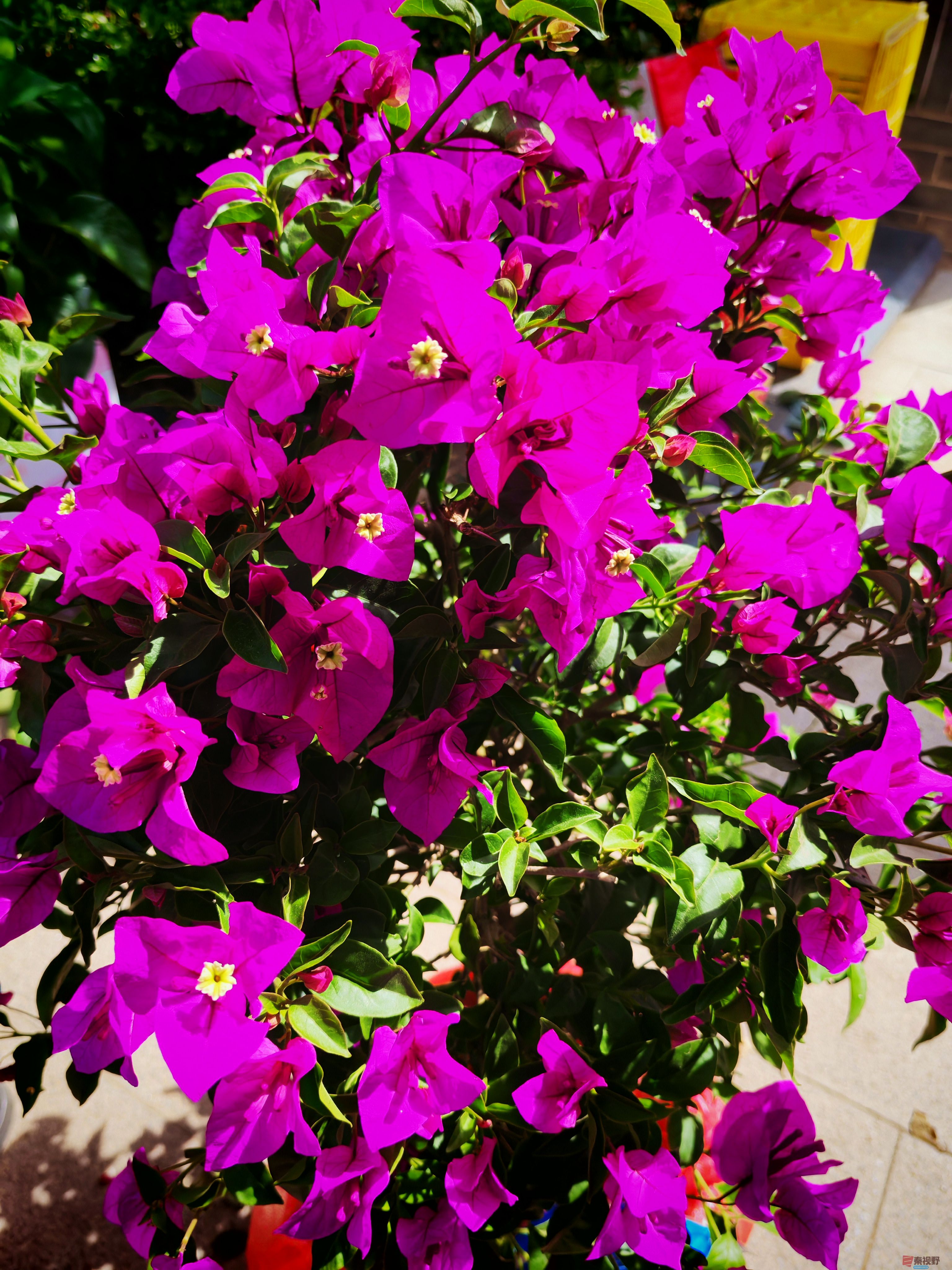 IMG_20250516_100302.jpg