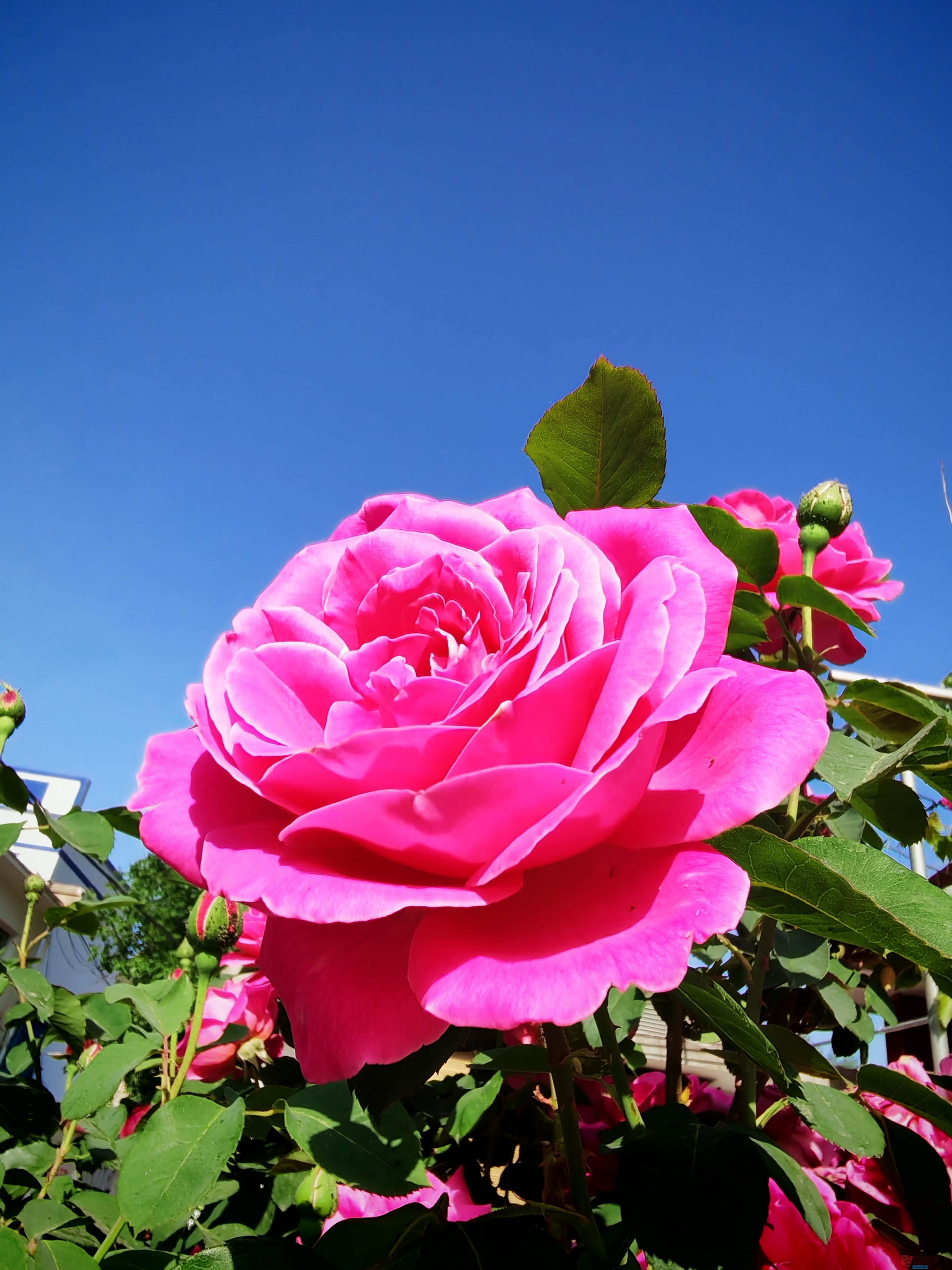 IMG_20250516_081352.jpg