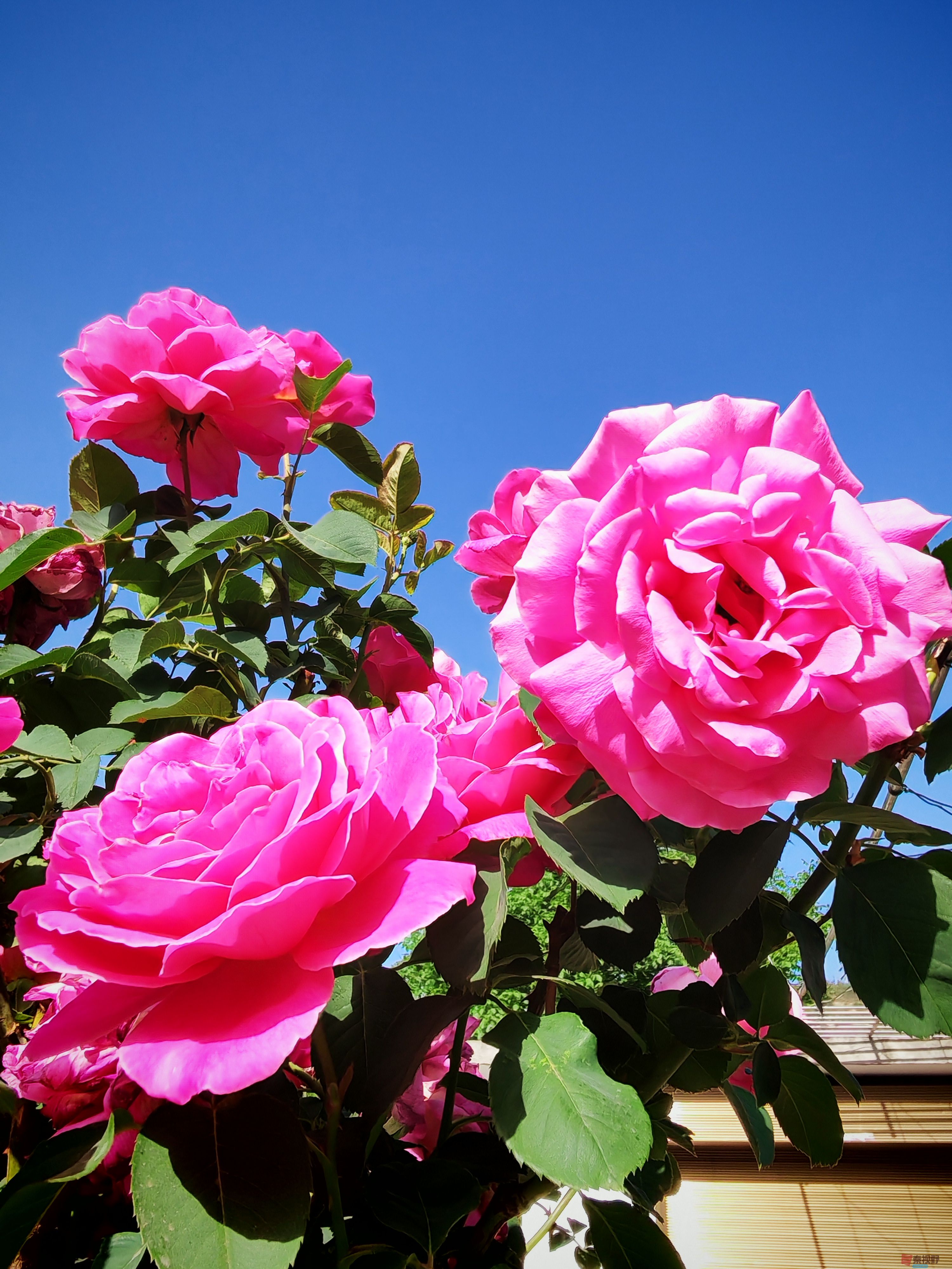 IMG_20250516_081400.jpg