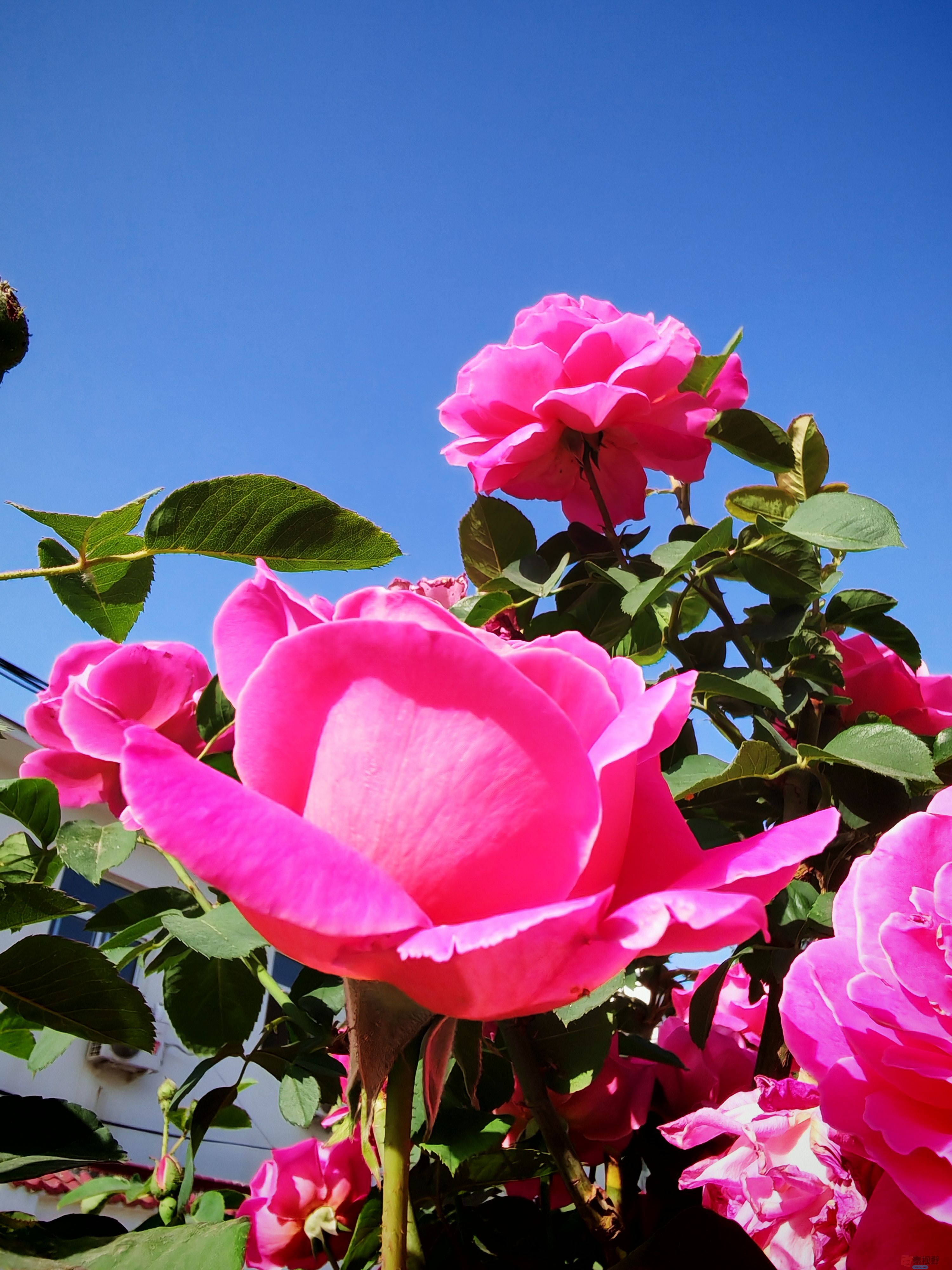IMG_20250516_081407.jpg