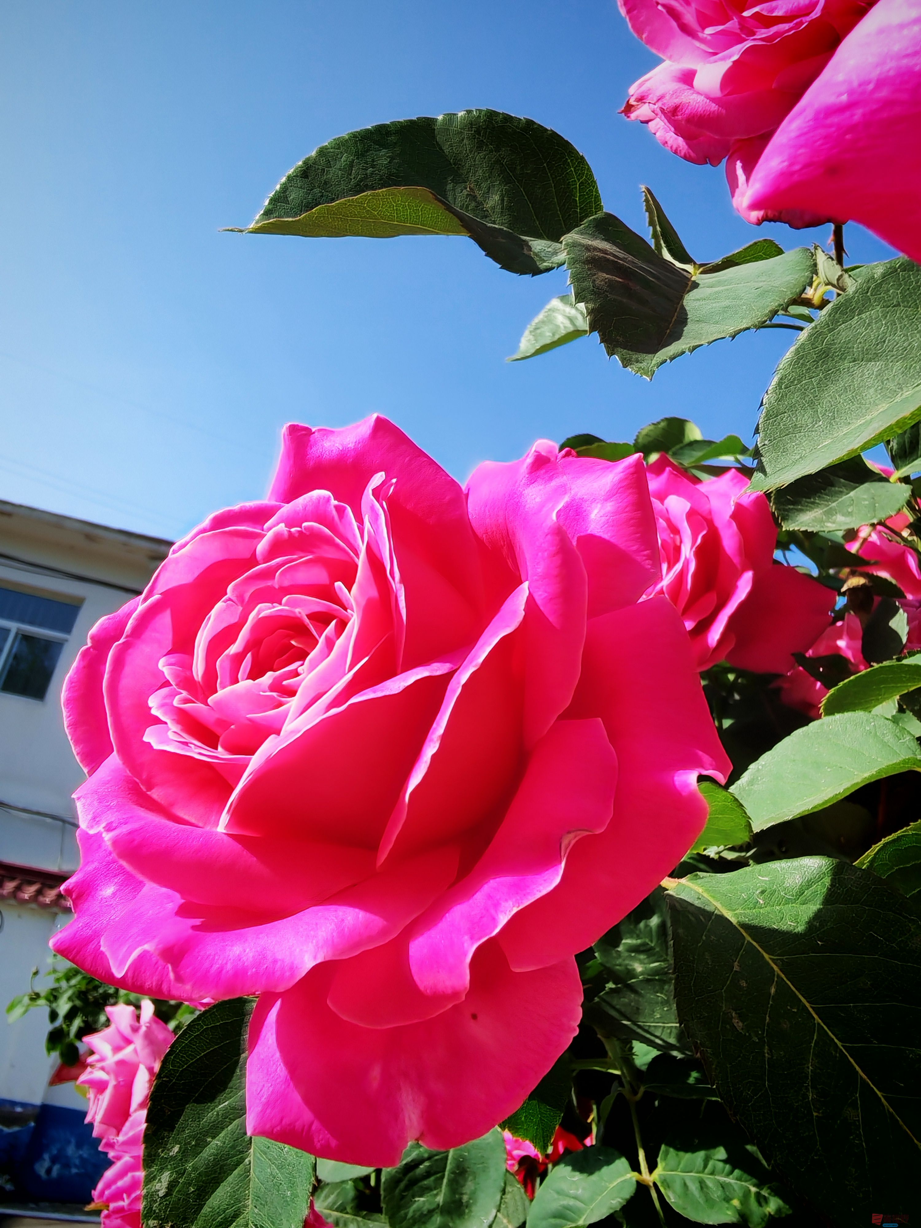 IMG_20250516_081508.jpg