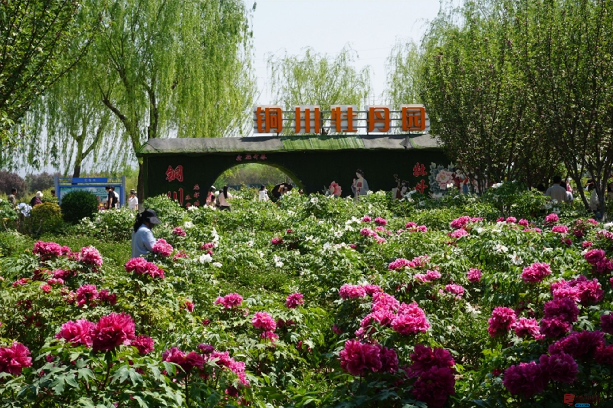 微信图片_20250501203108.jpg