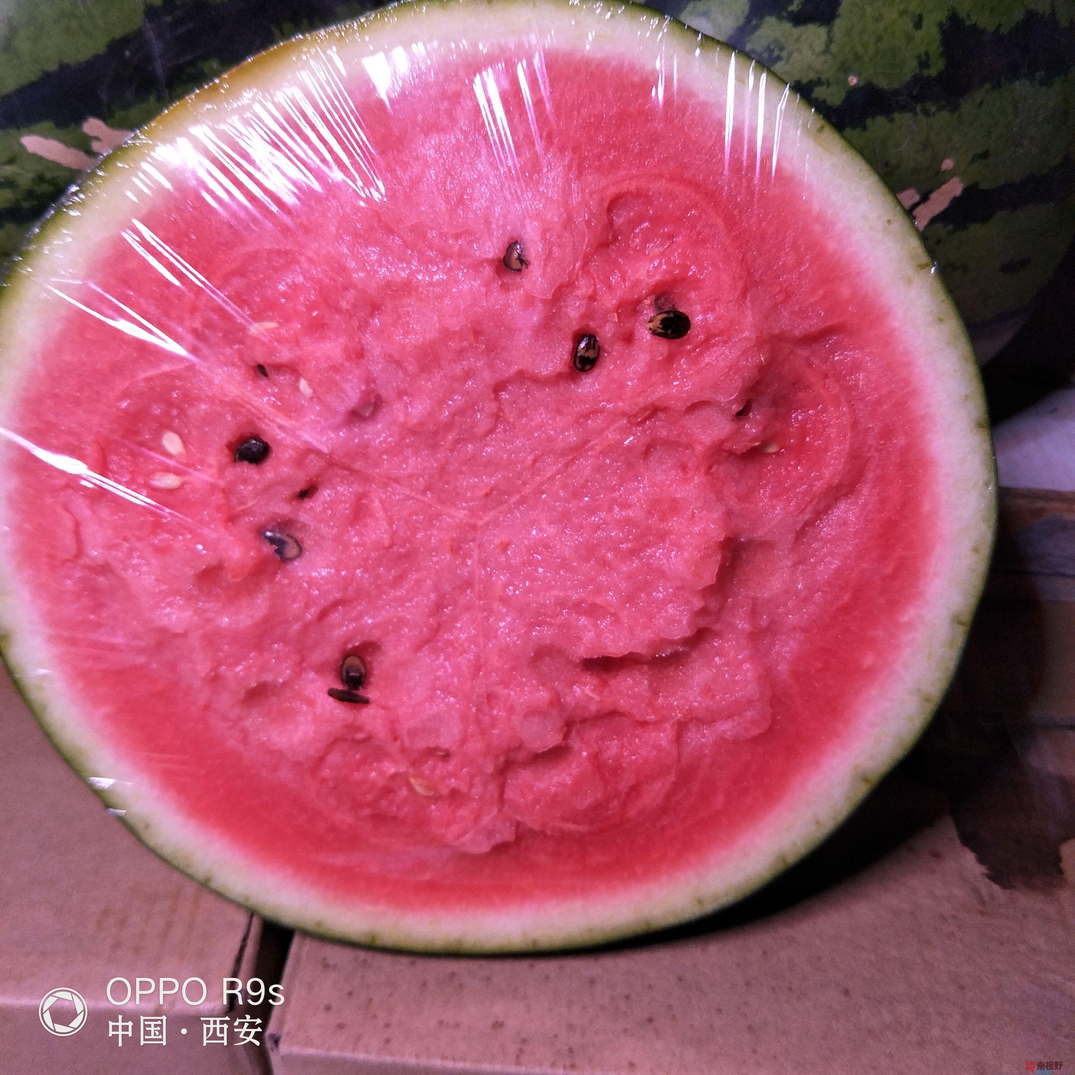 沙瓤西瓜甜得很