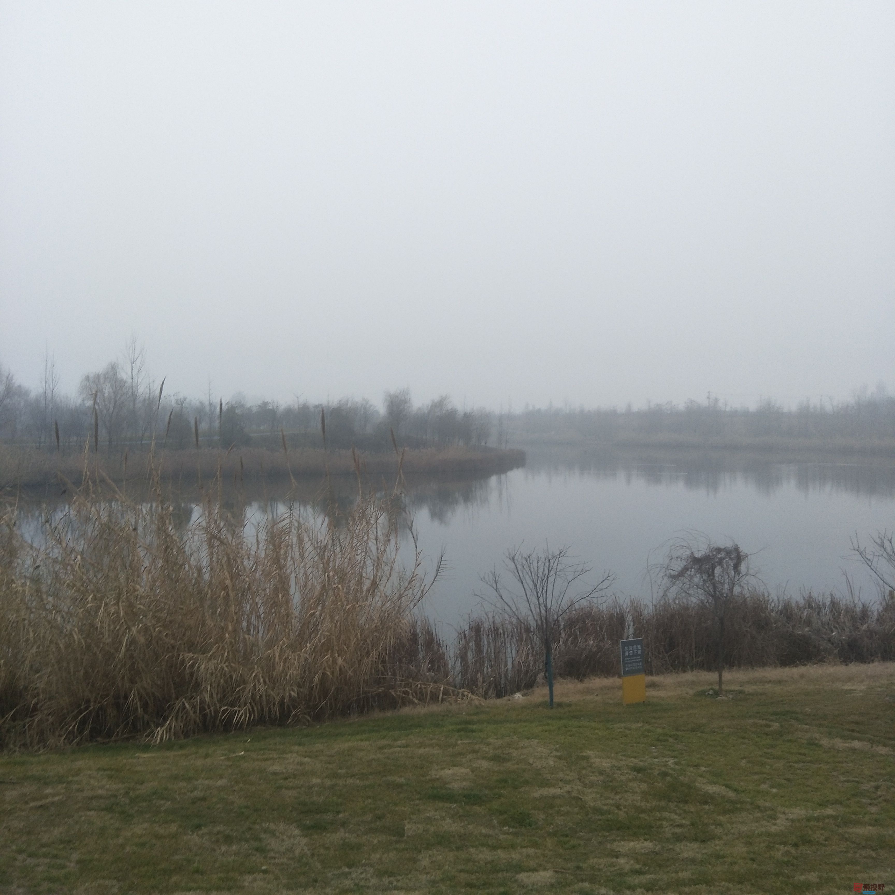 mmexport1578543543644.jpg