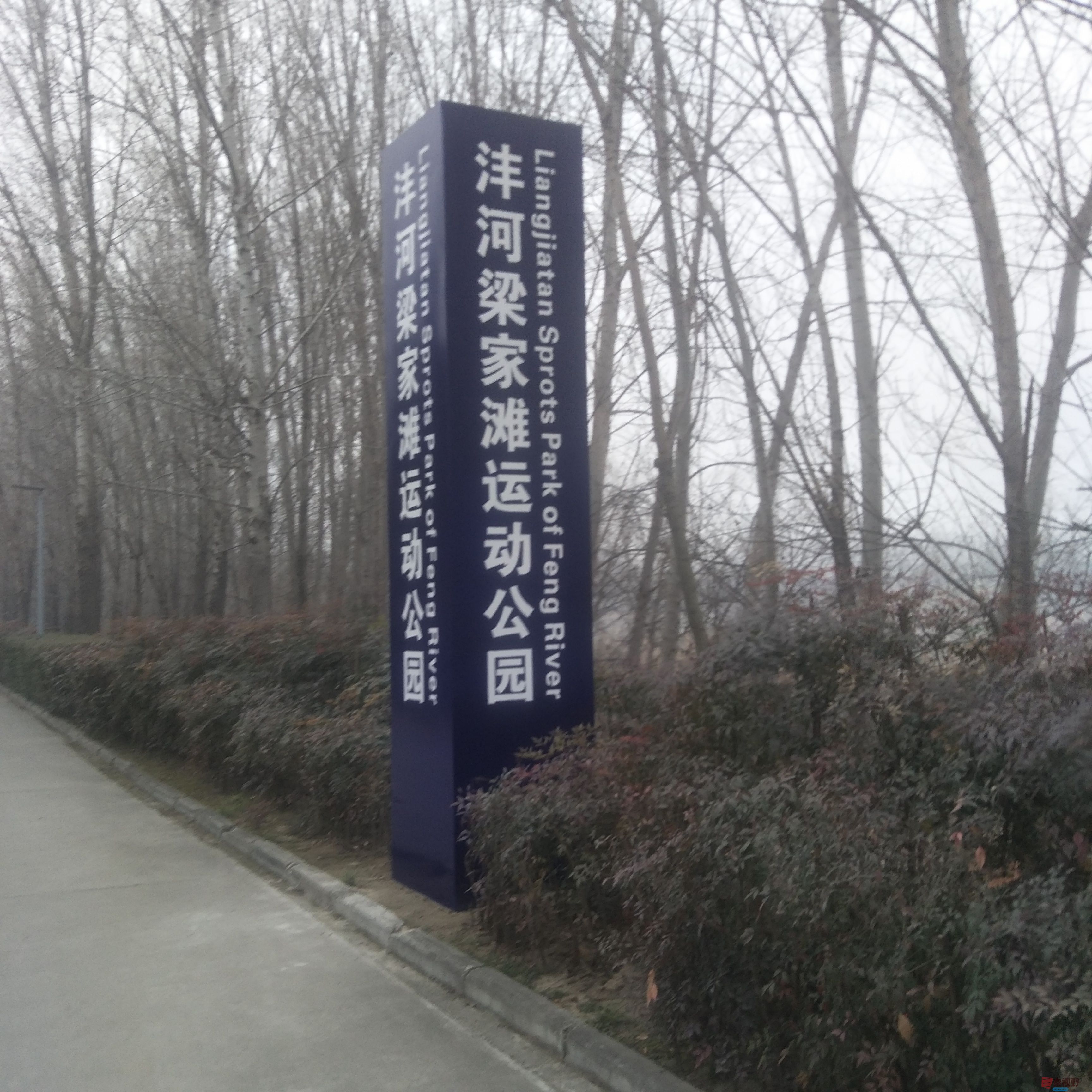 mmexport1578543591661.jpg