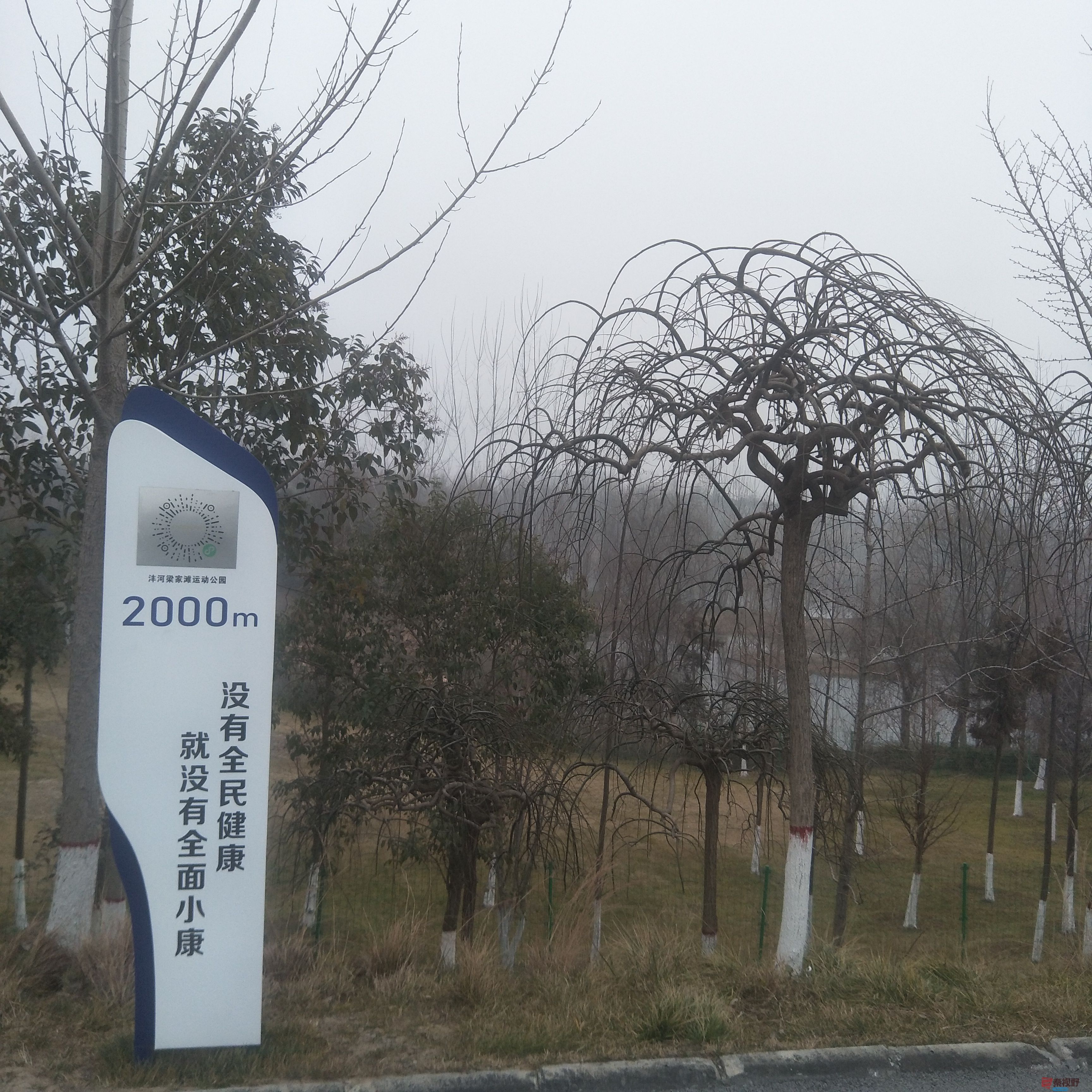 mmexport1578543617213.jpg