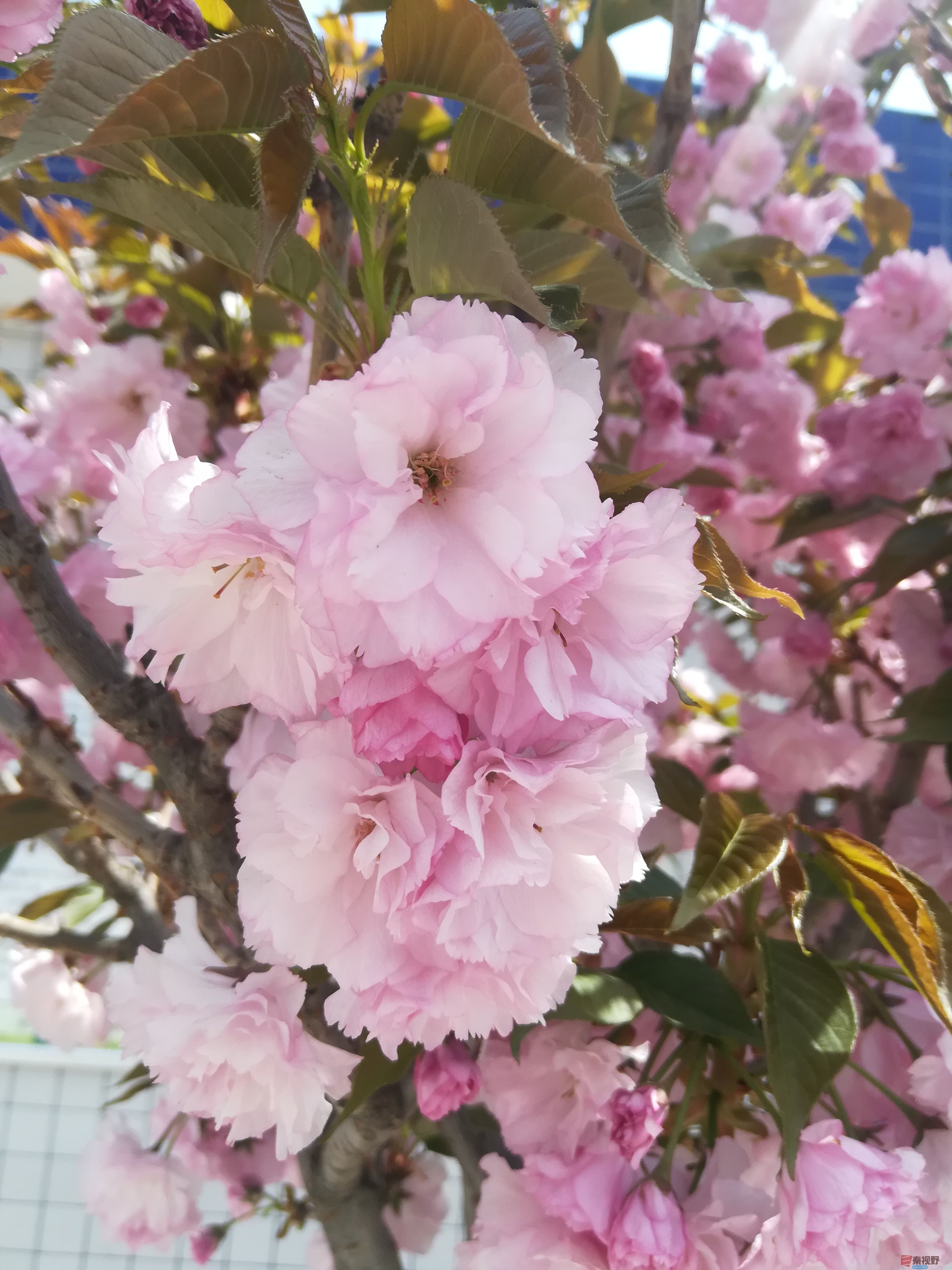 IMG_20190415_120120.jpg