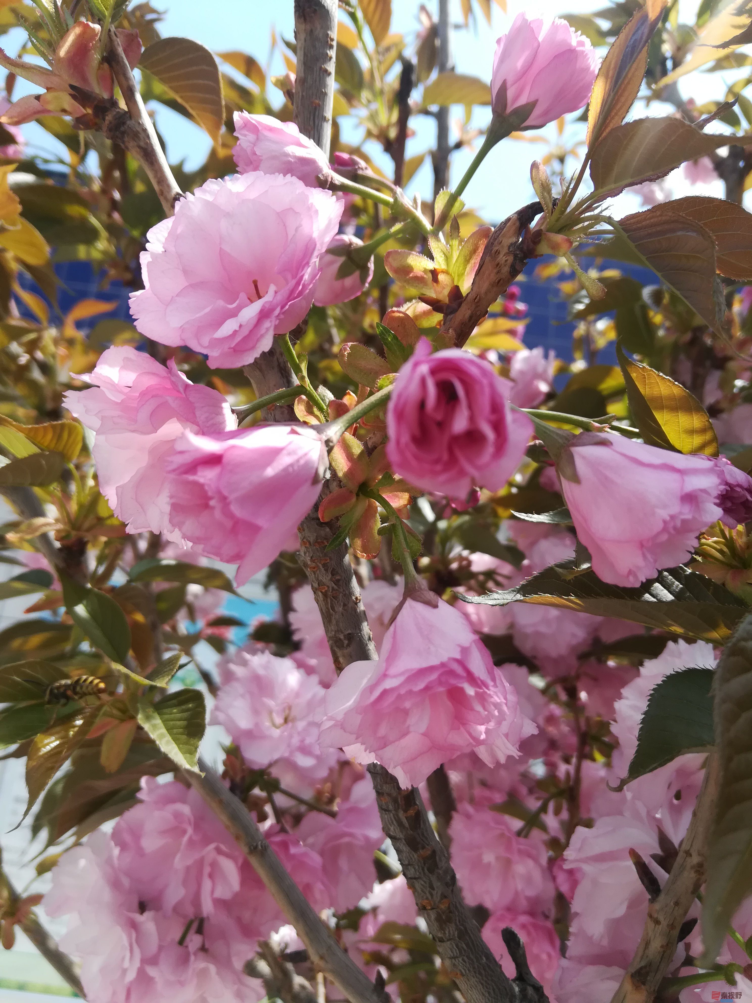 IMG_20190415_120126.jpg