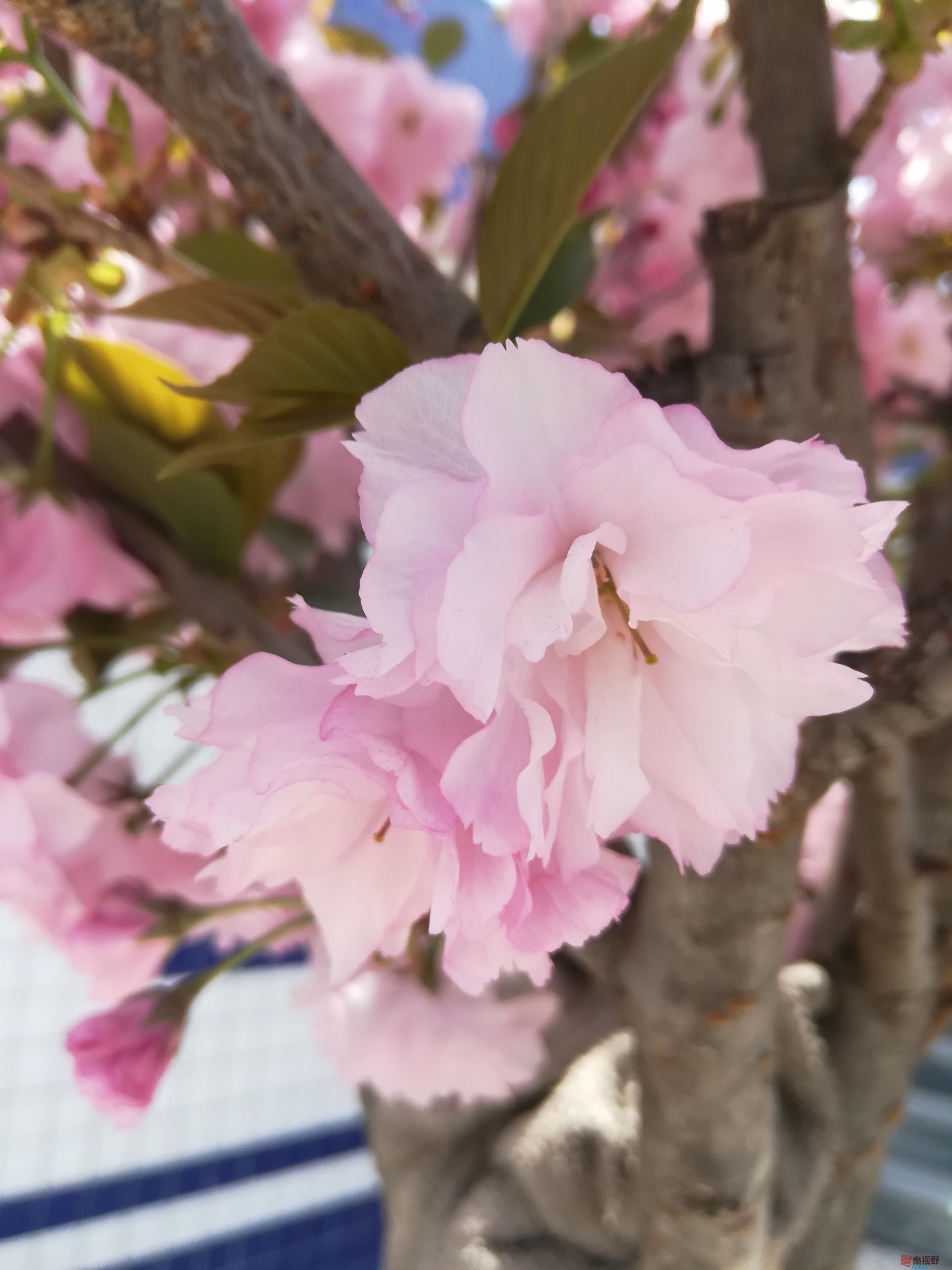 IMG_20190415_120135.jpg