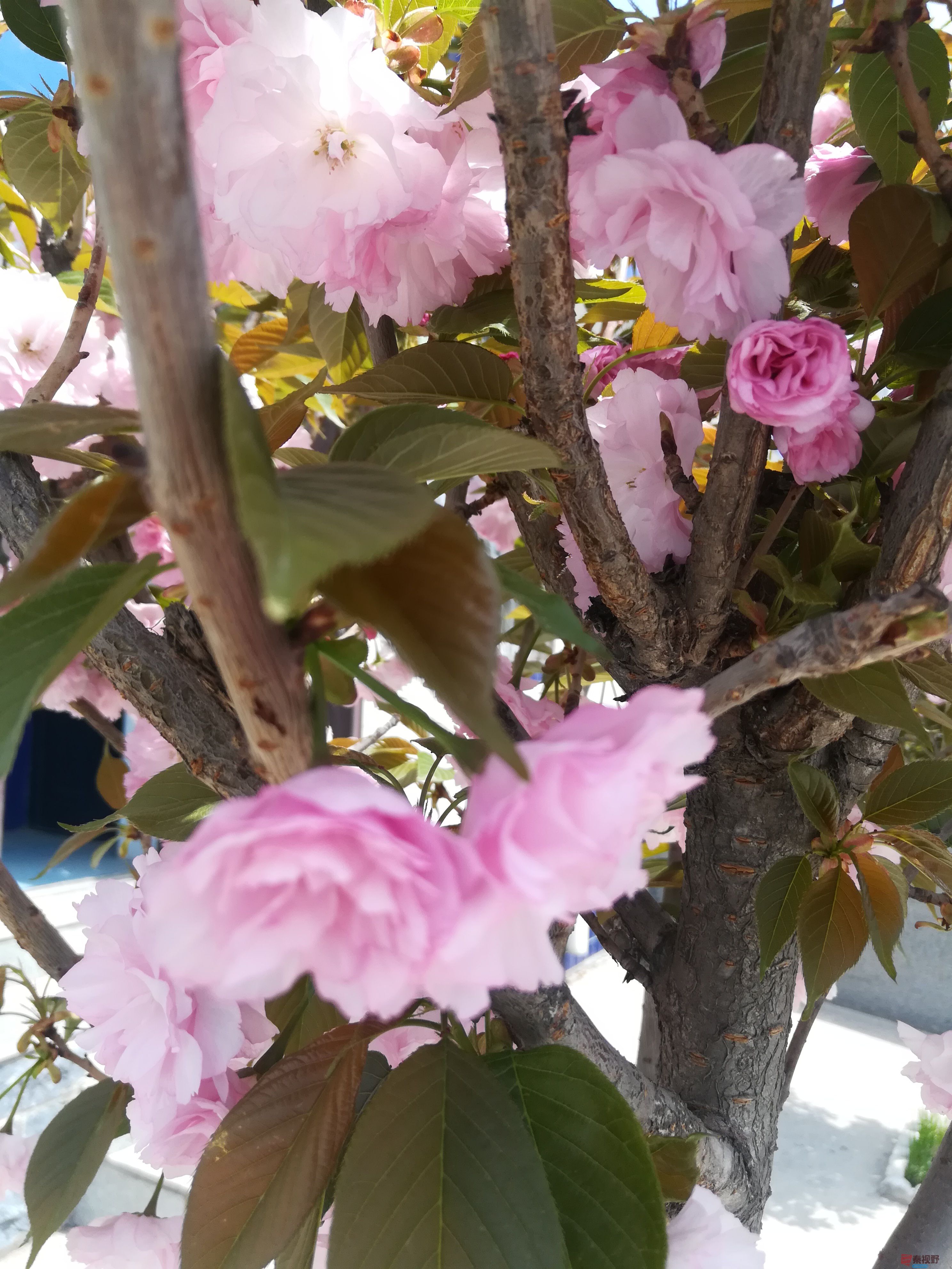 IMG_20190415_120154.jpg