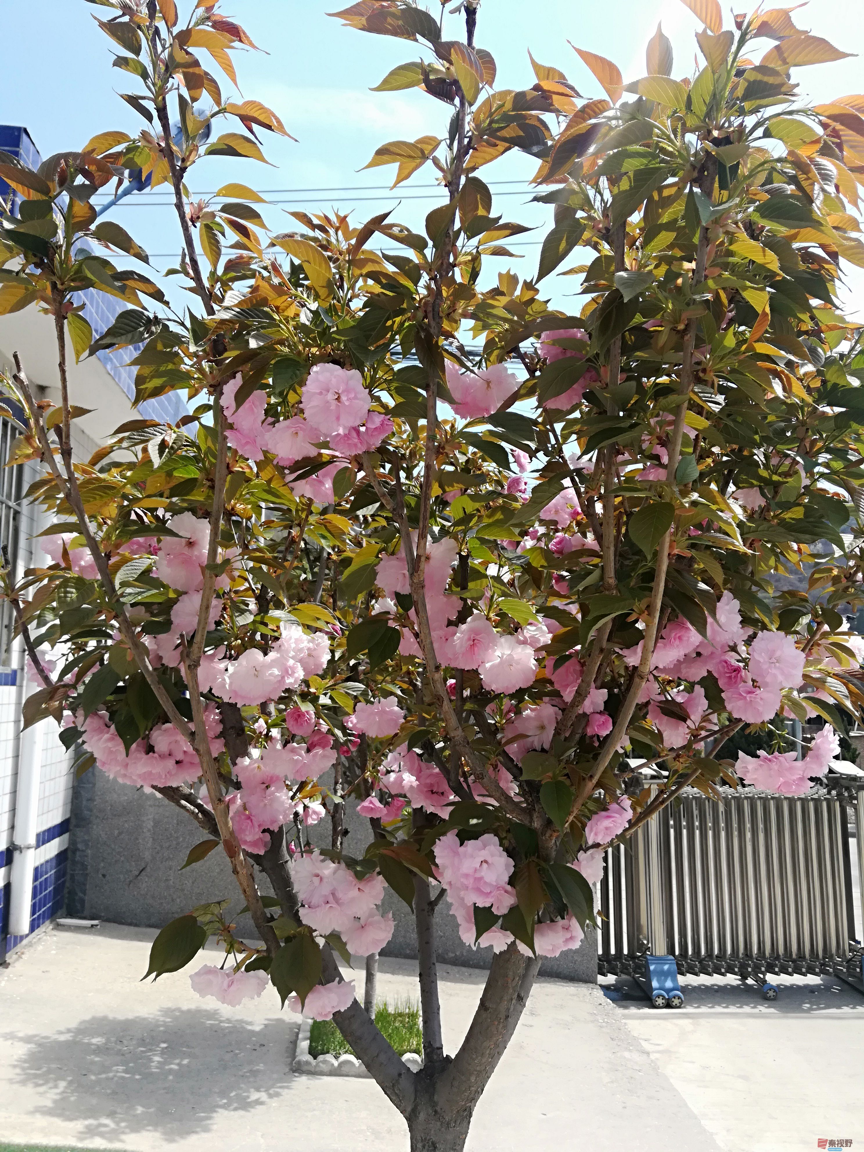 IMG_20190415_120224.jpg