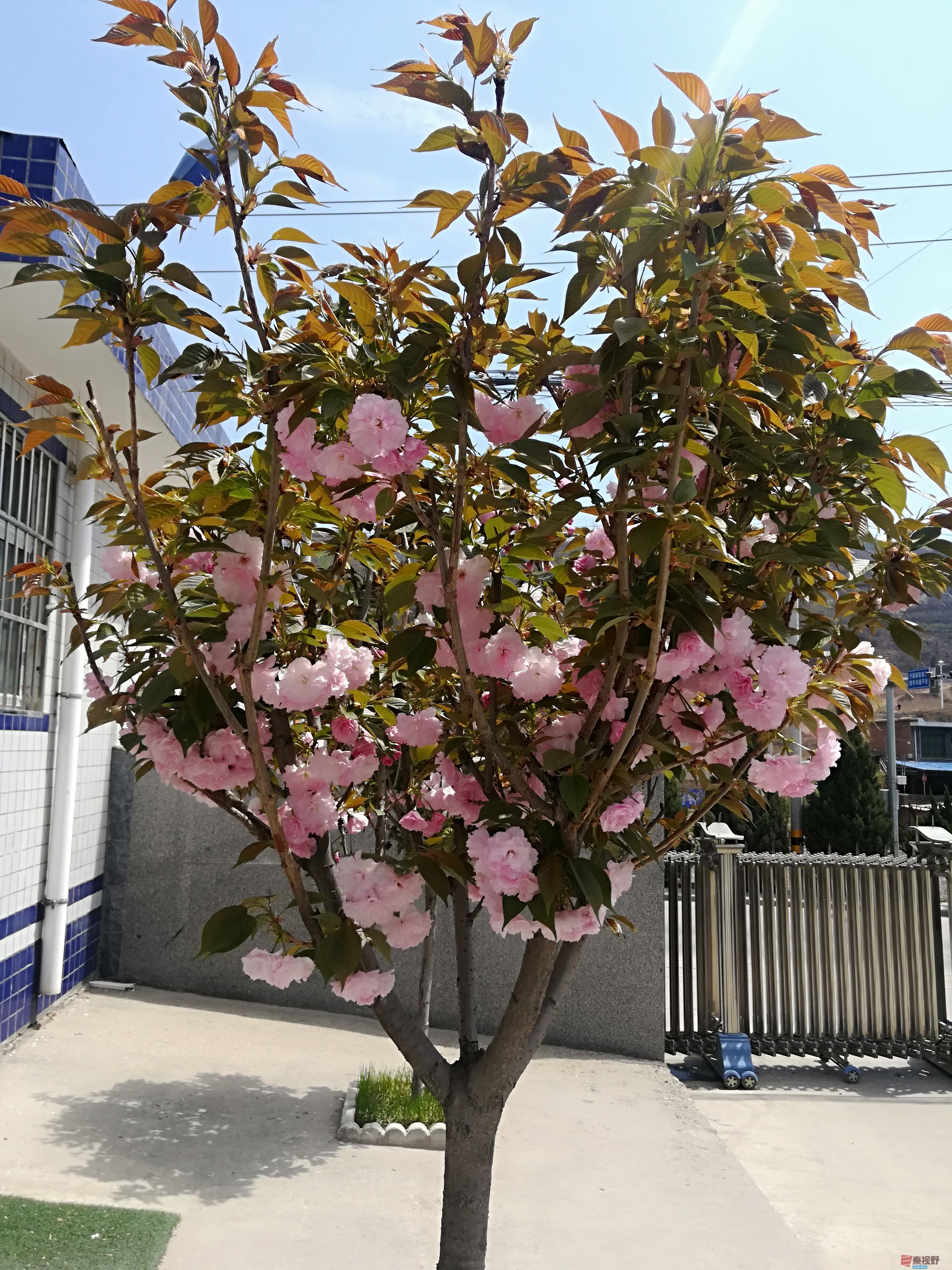 IMG_20190415_120228.jpg