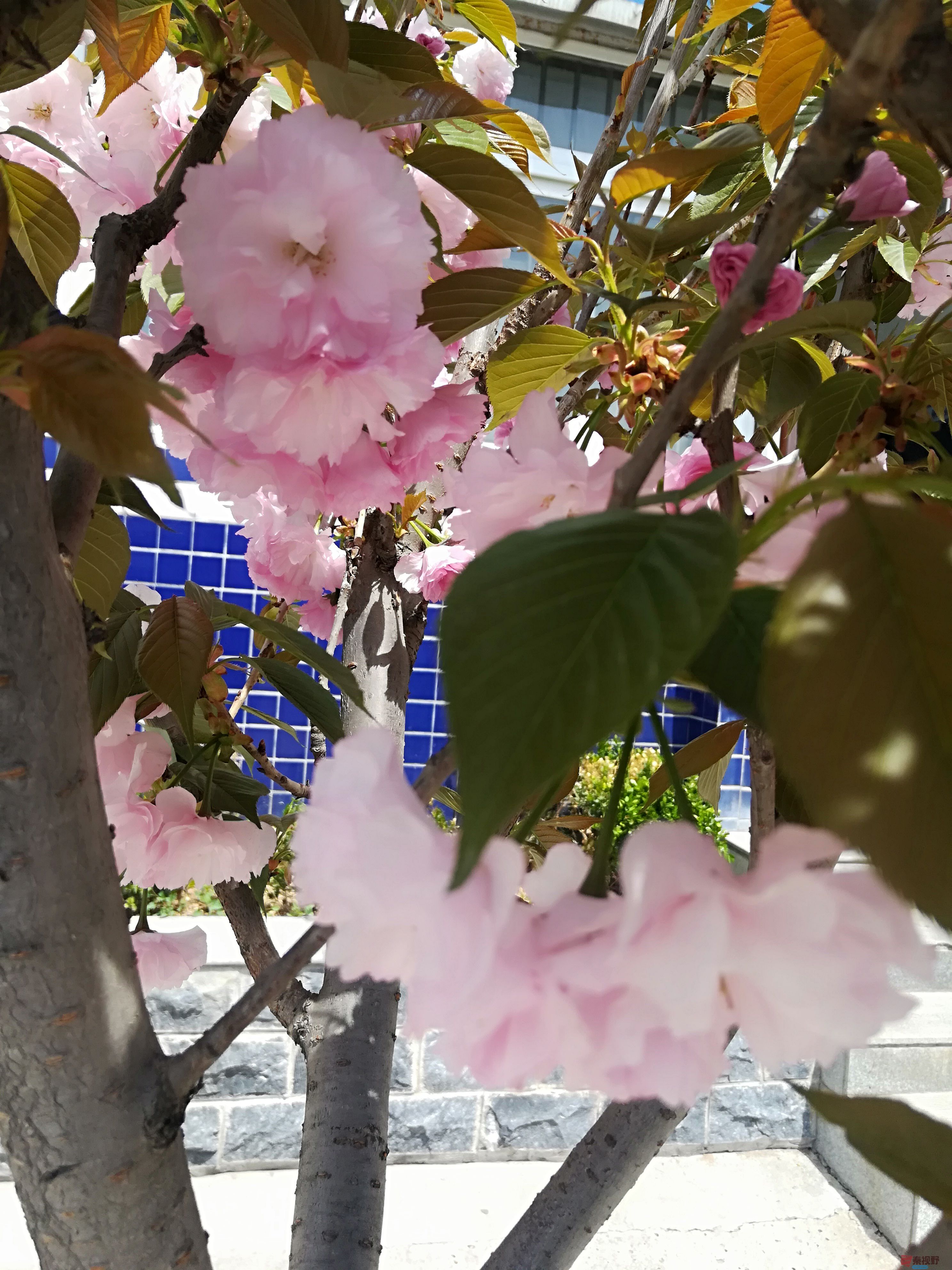 IMG_20190415_120244.jpg