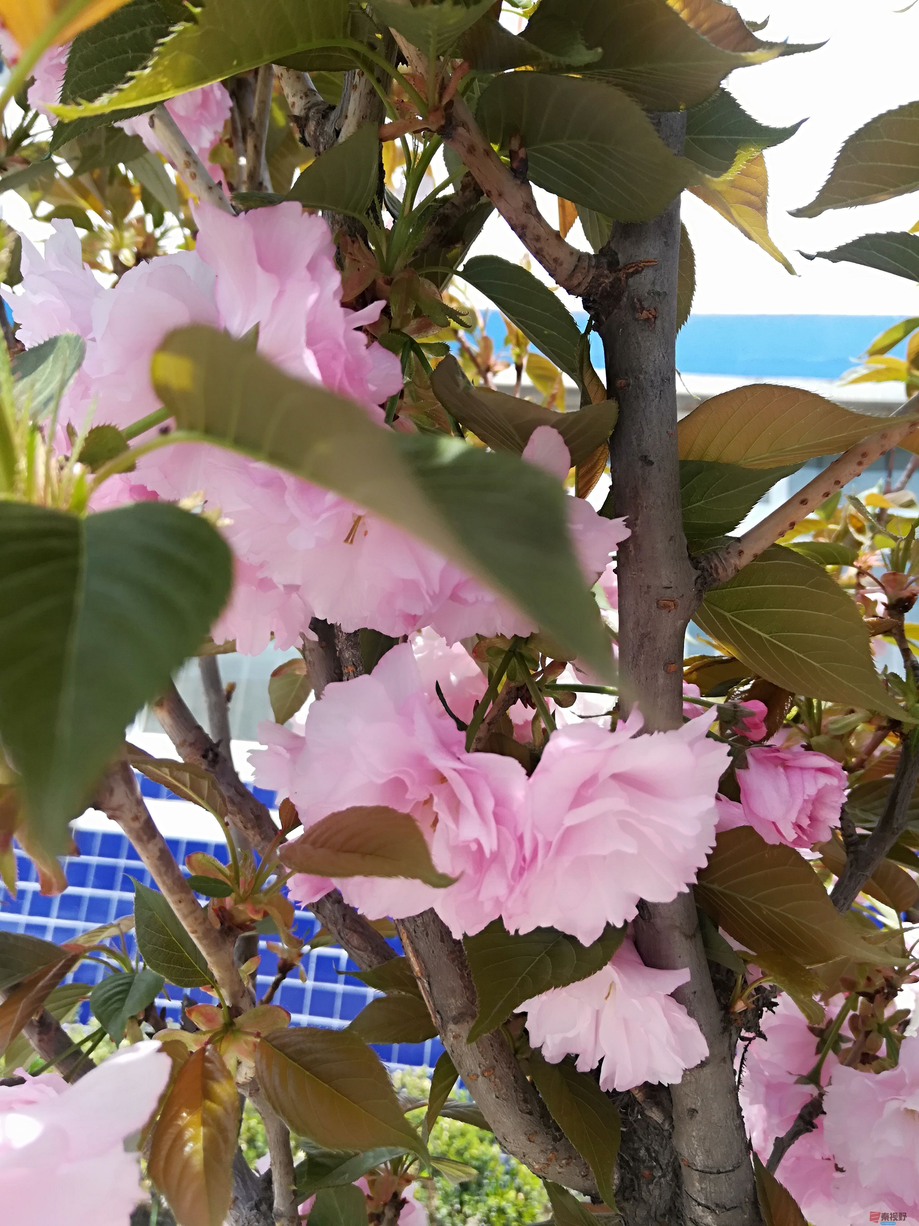 IMG_20190415_120248.jpg