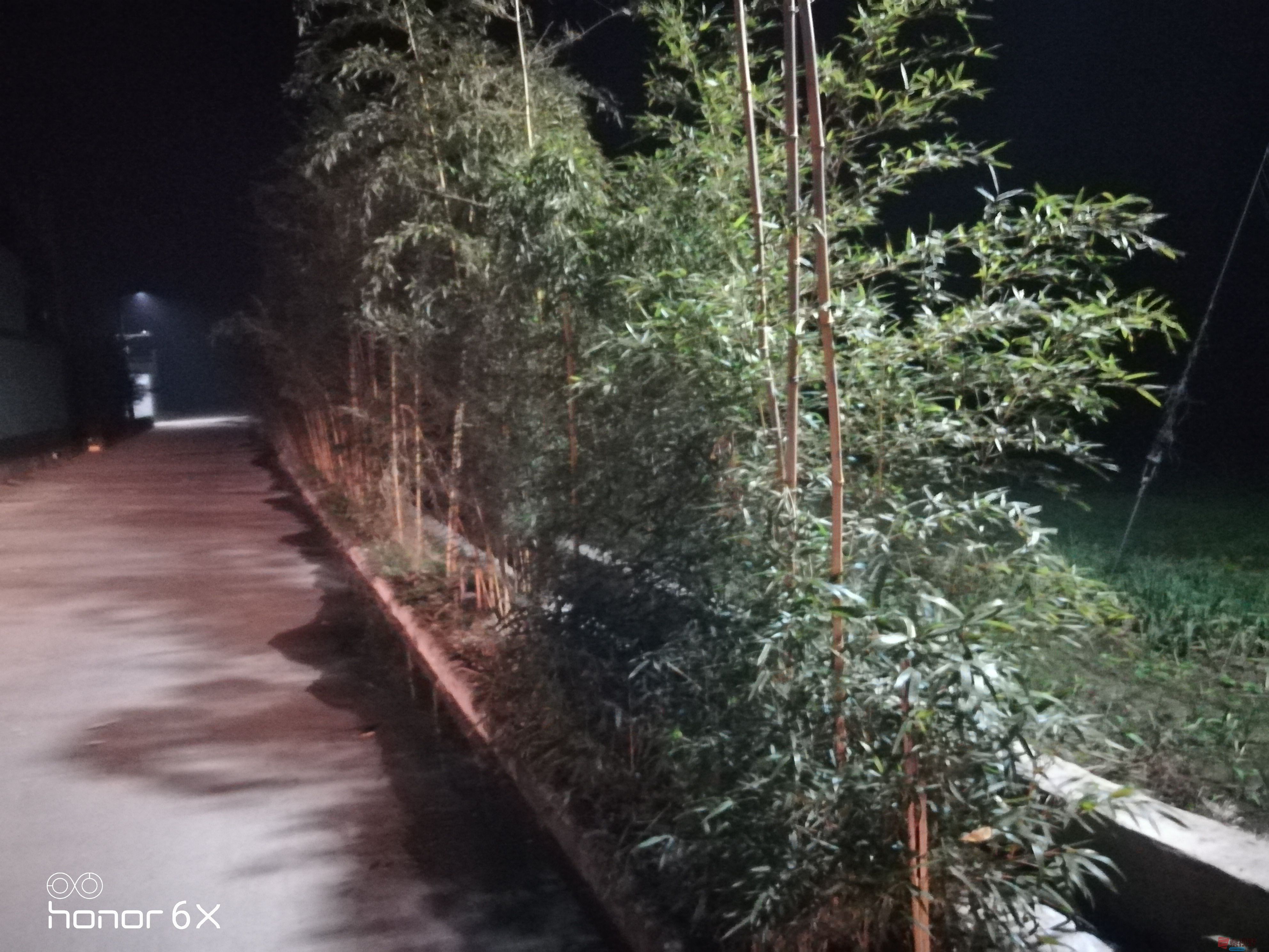 IMG_20191207_200258.jpg