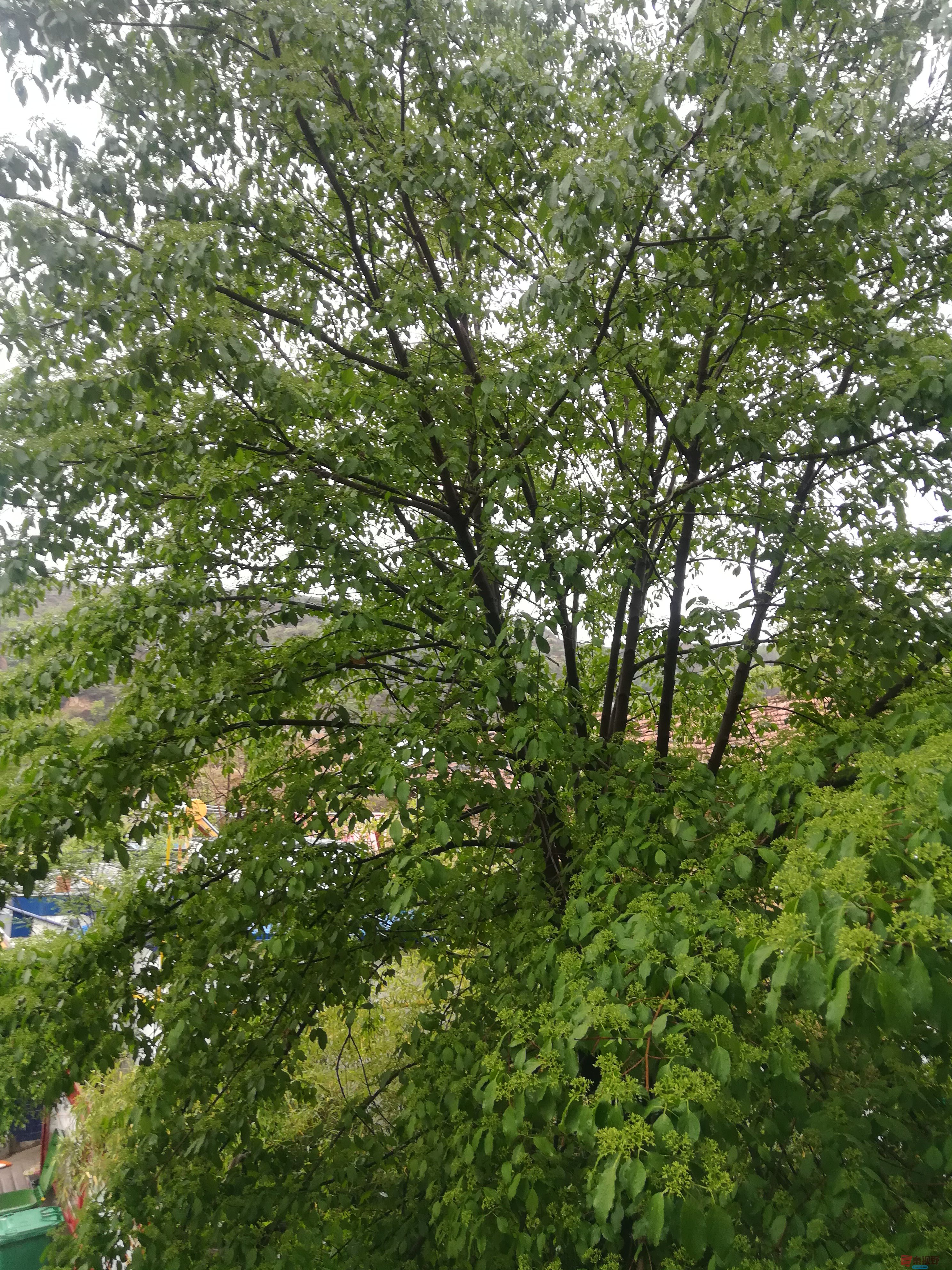 IMG_20190427_101011.jpg