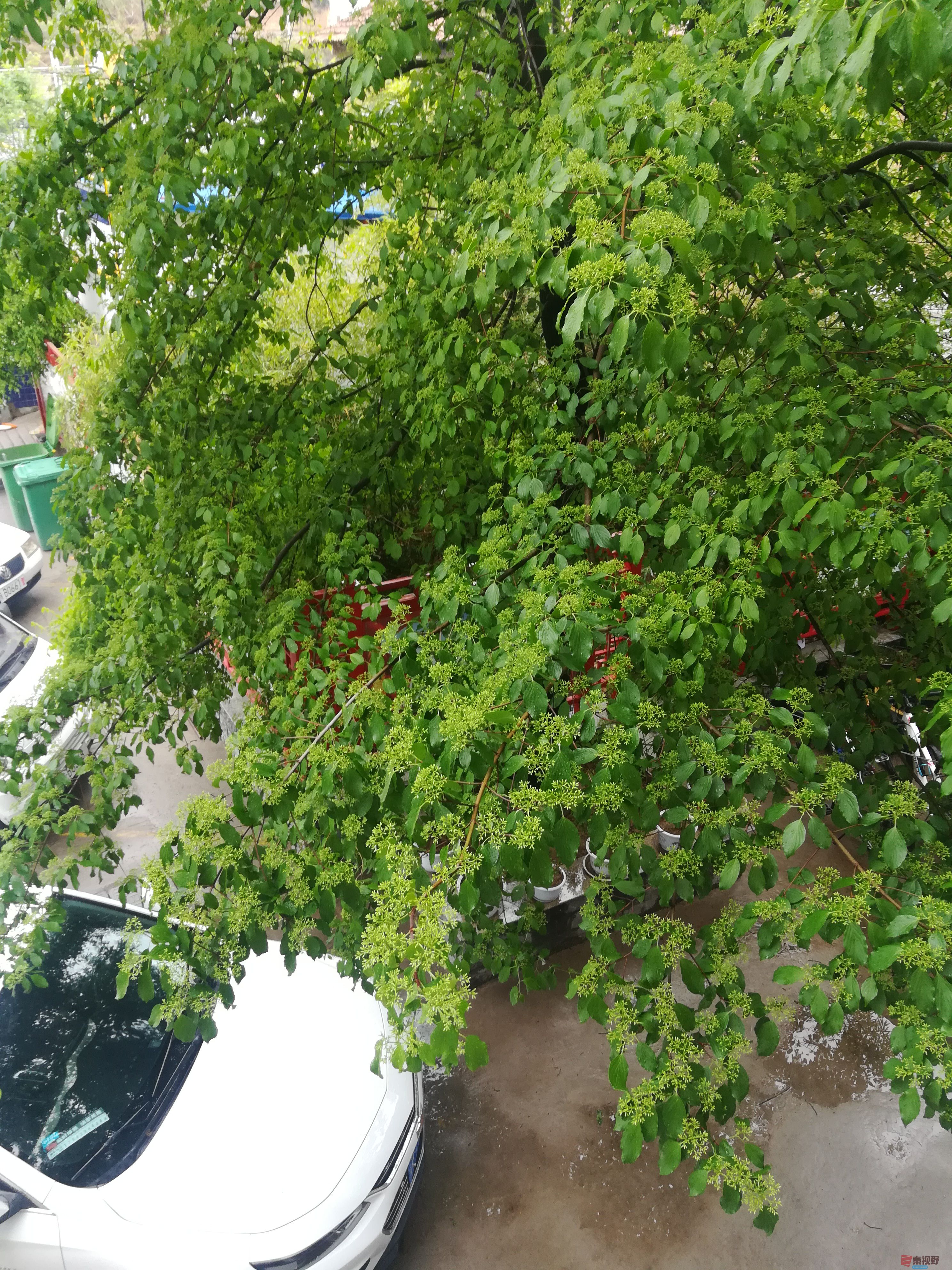 IMG_20190427_101019.jpg