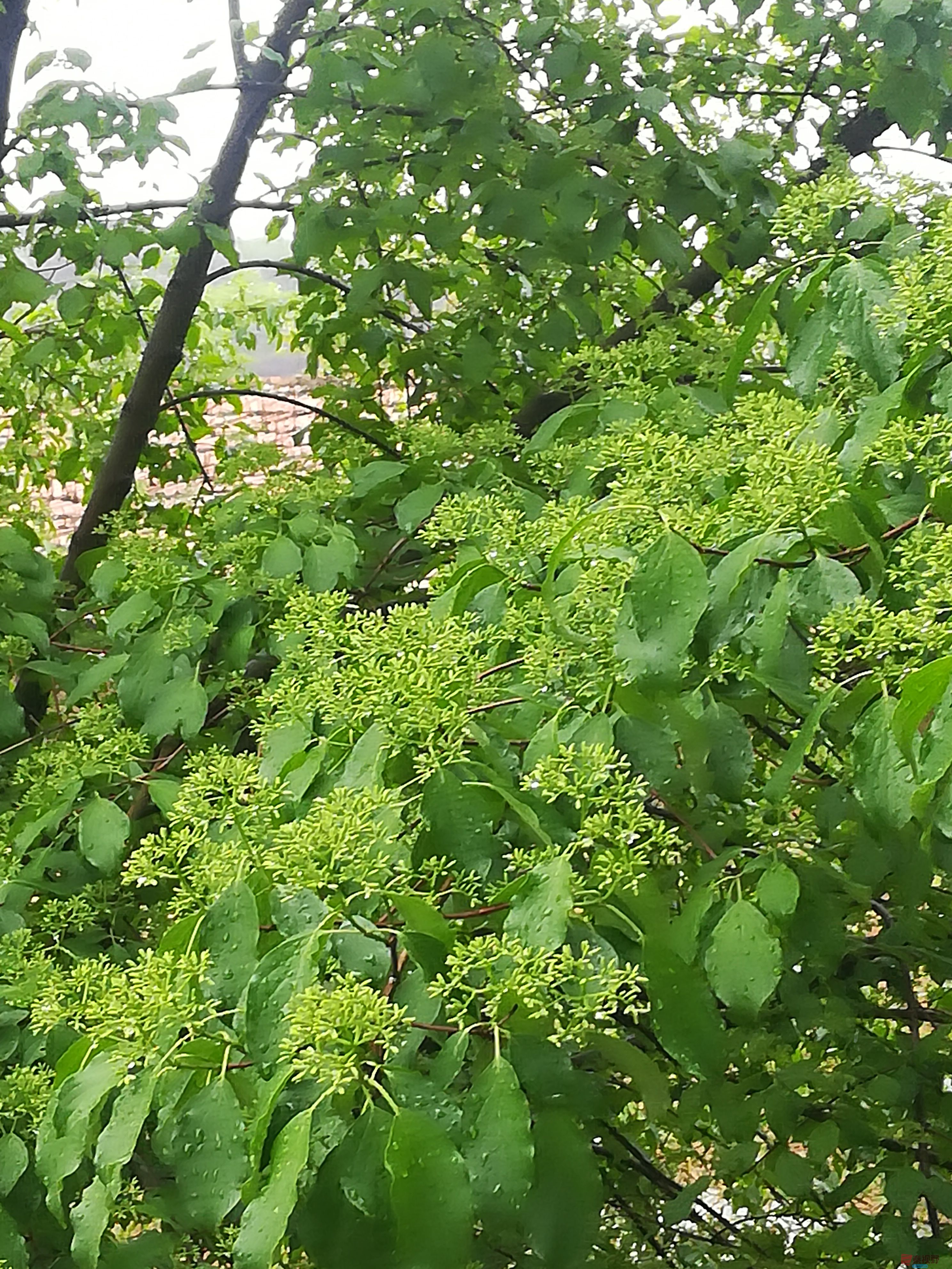 IMG_20190427_101028.jpg