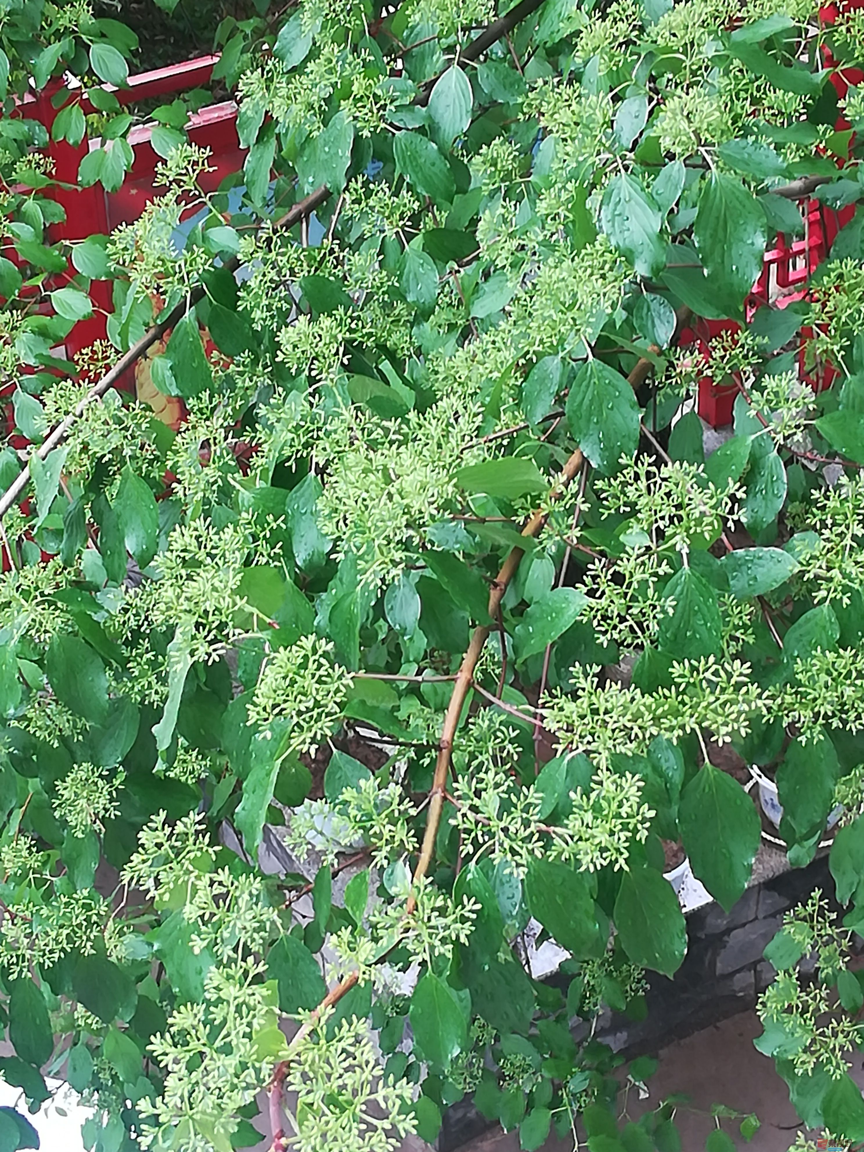 IMG_20190427_101039.jpg